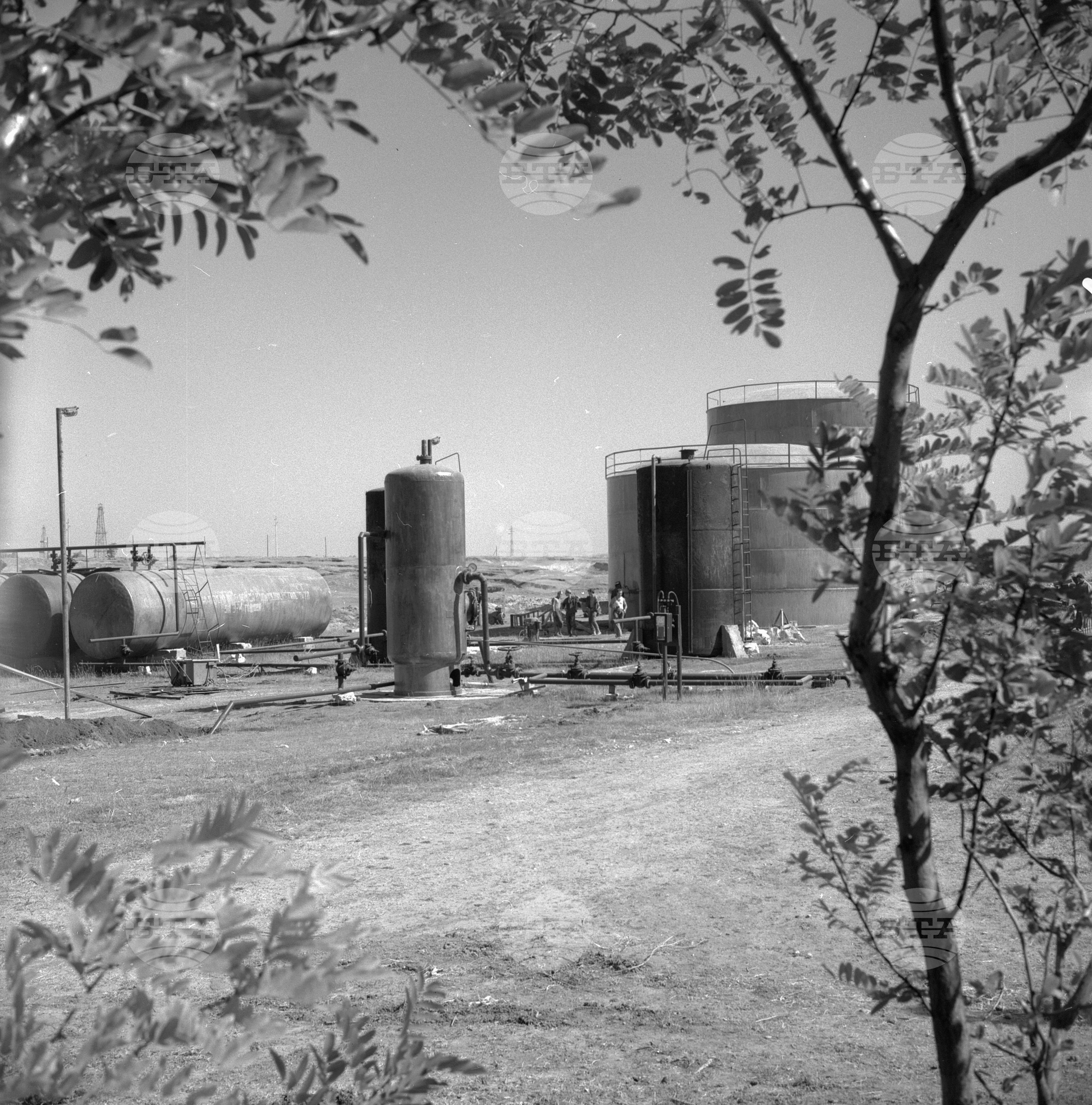 Роден нефт край село Долни дъбник, Плевенско