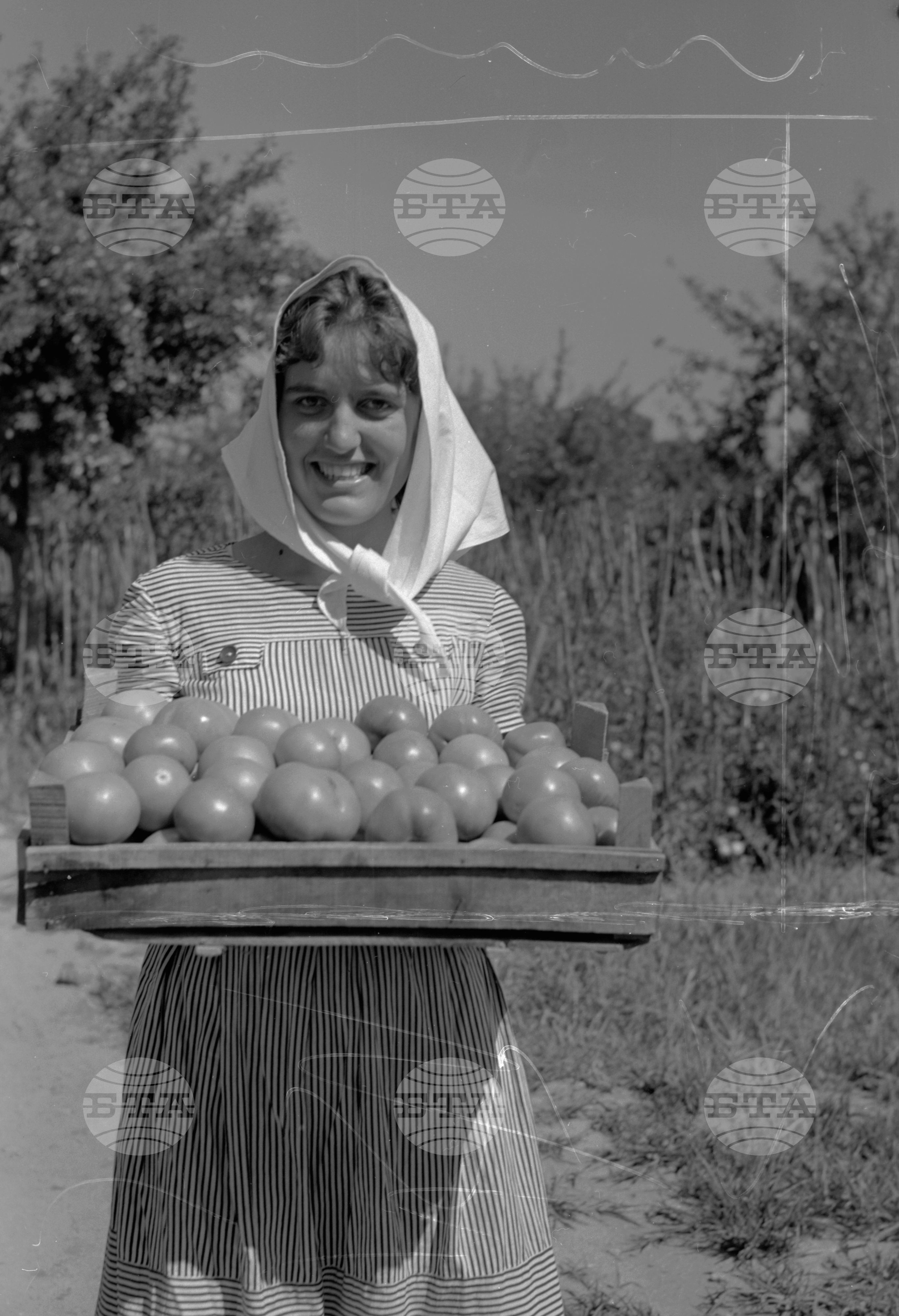 Из Кюстендилски окръг - юли 1962 година част 2