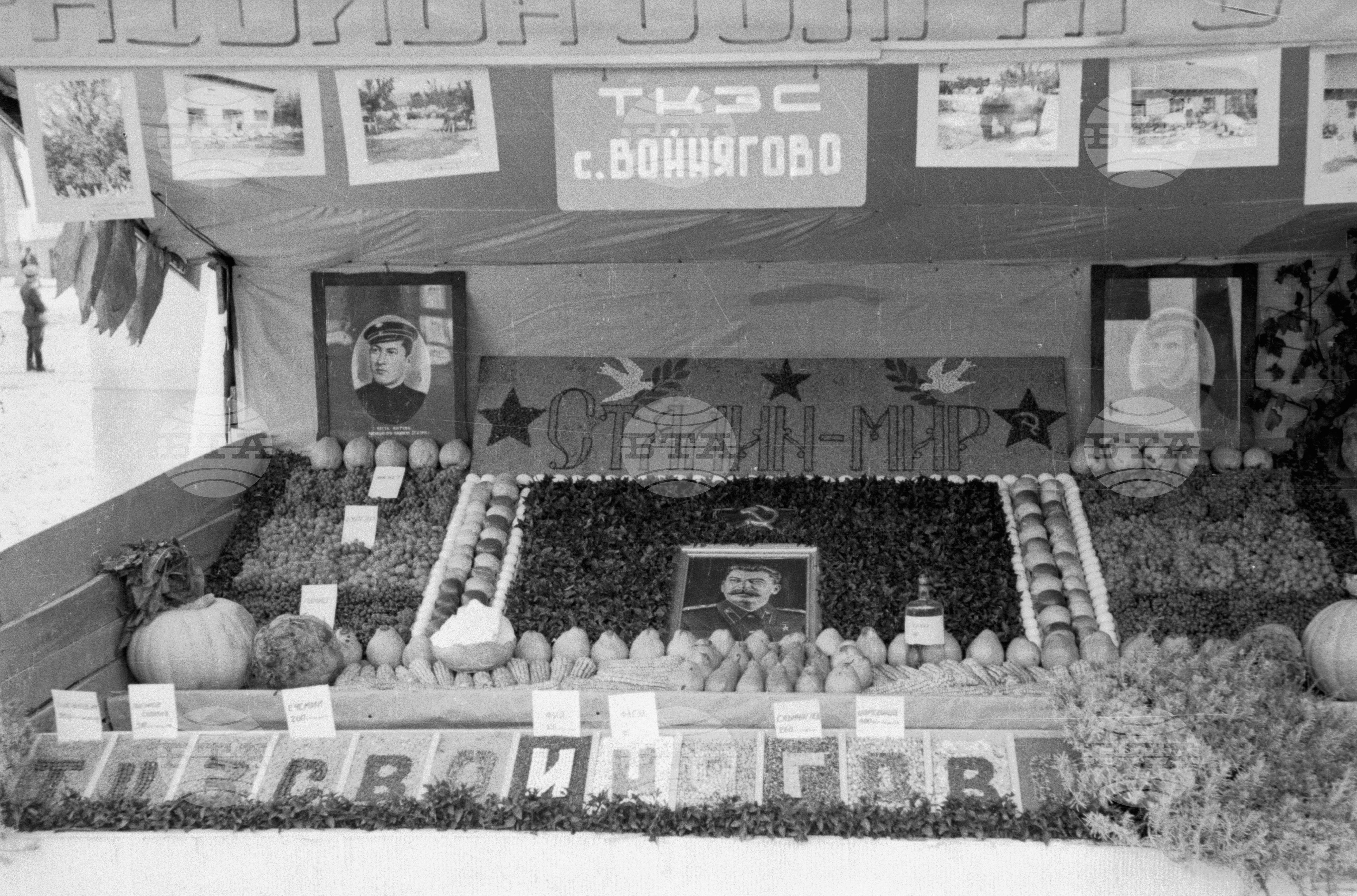 Архив - Българска телеграфна агенция (БТА), 1951