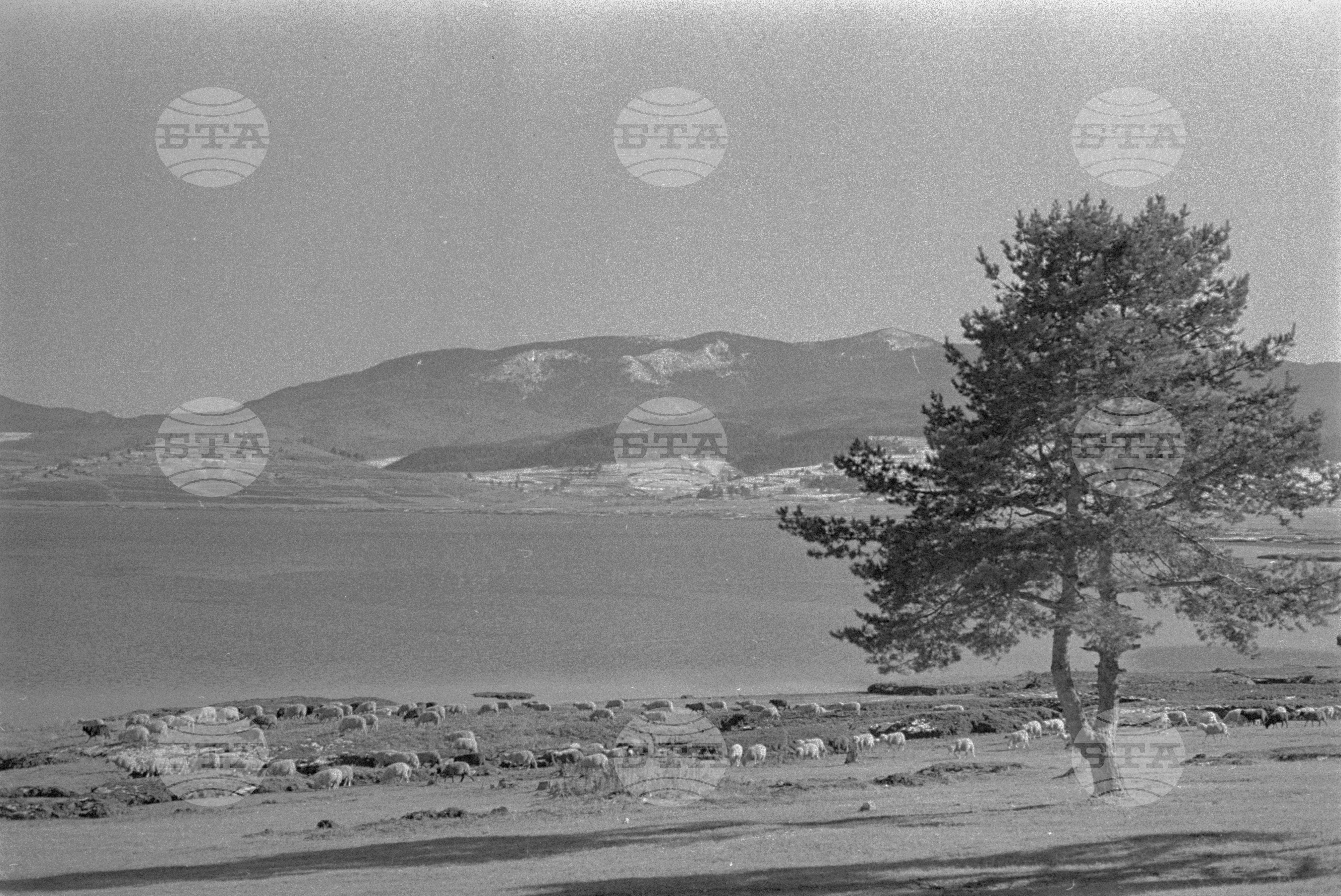 Край язовир "Батак" - 1963 година
