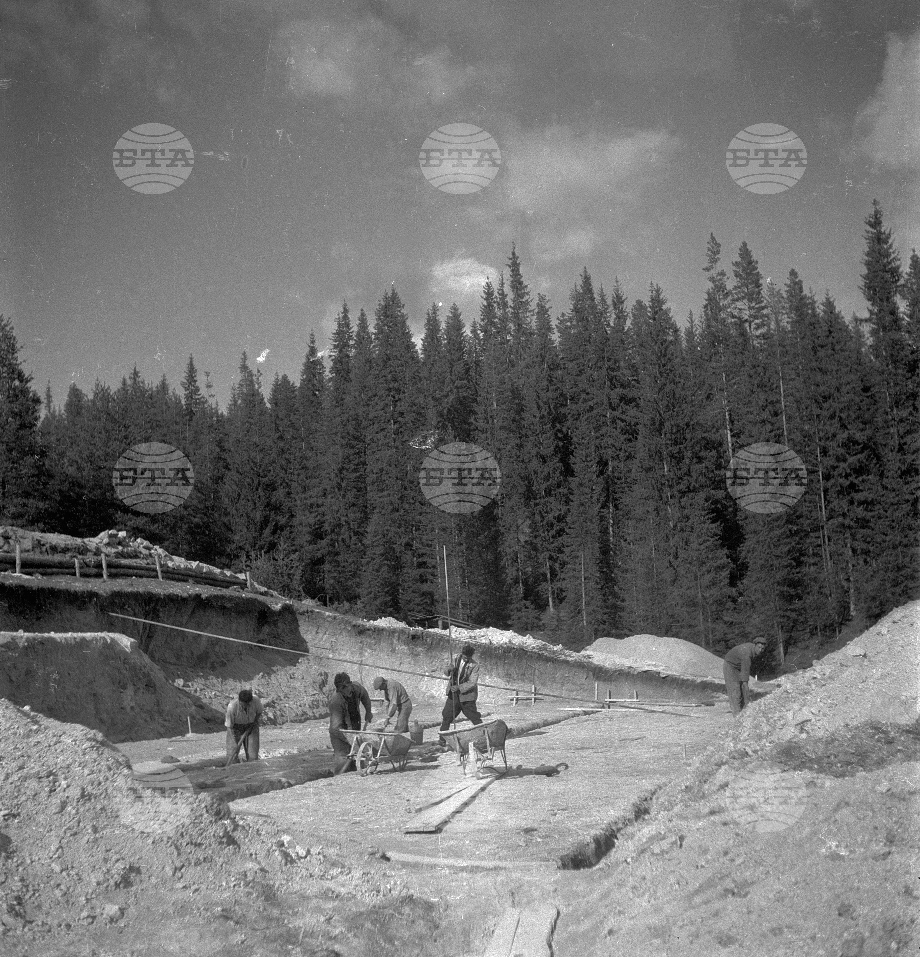 Дърводобив в държавни горски стопанства, 1951 - част 5