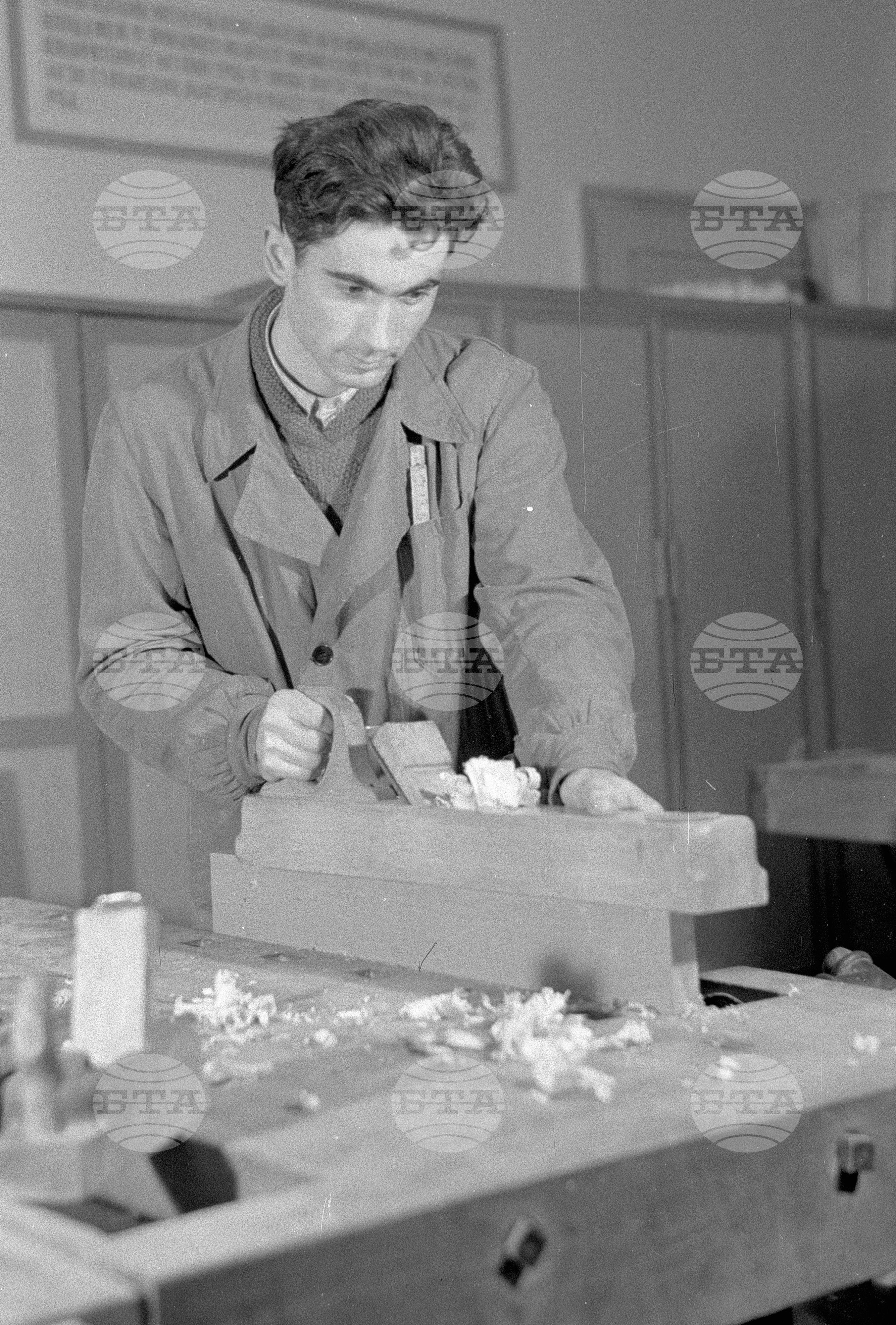 Техникум по дървообработване и вътрешна архитектура, 1951