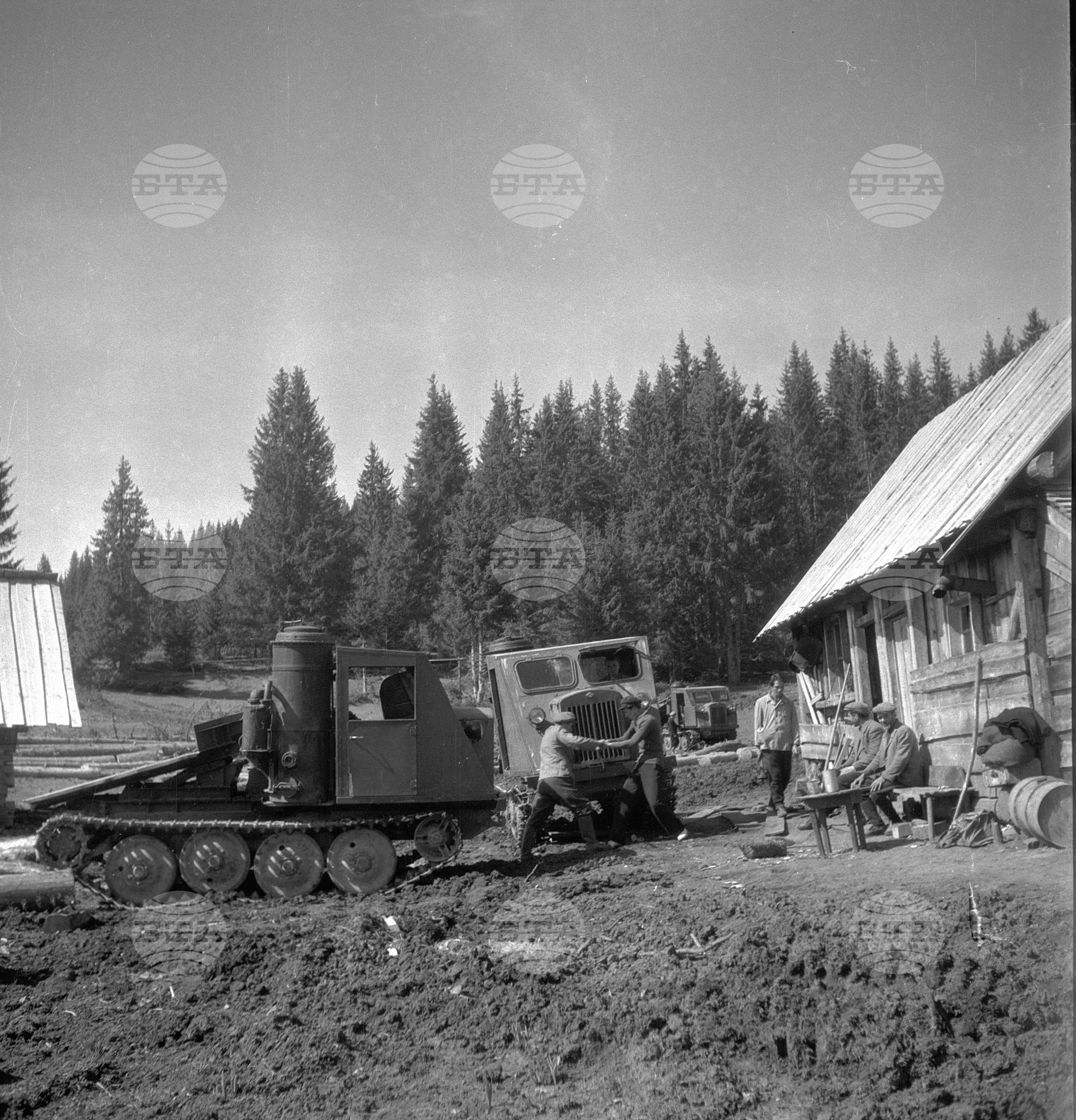 Дърводобив в държавни горски стопанства, 1951 - част 7
