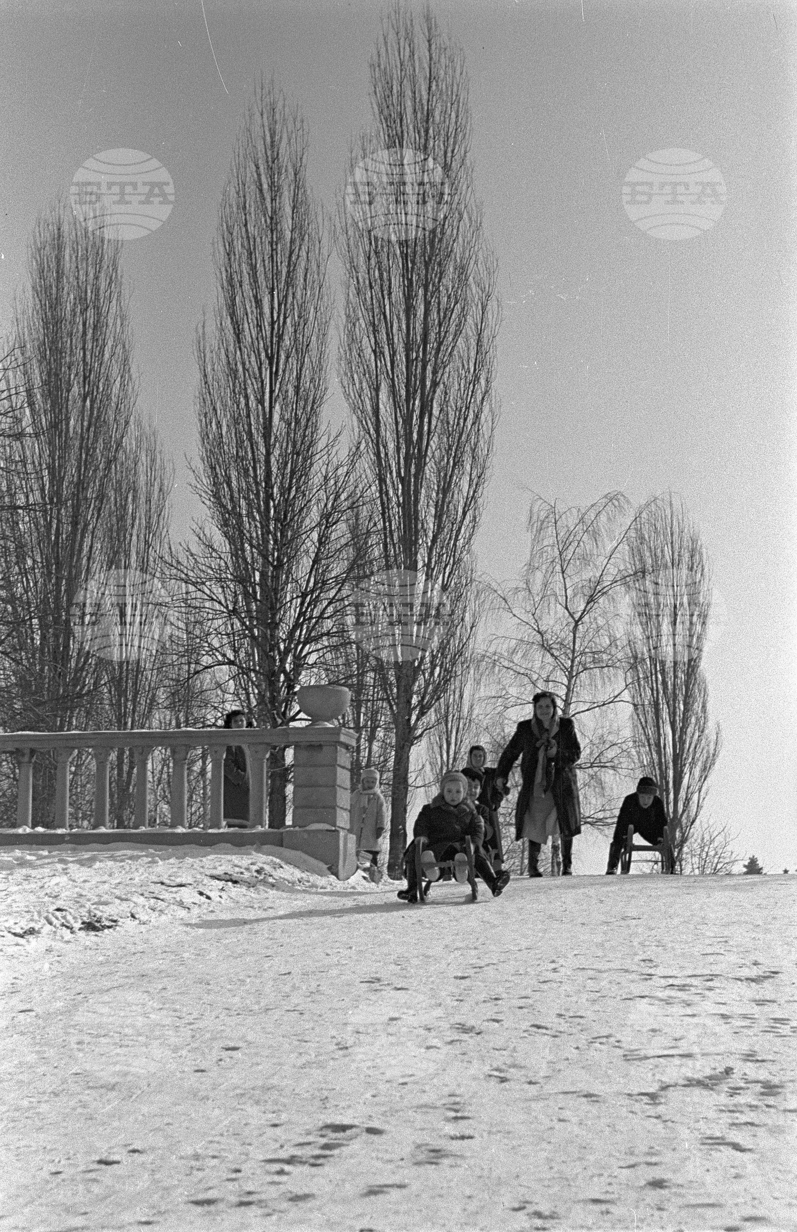 Зимни пейзажи от Парка на свободата в София - 1953 година