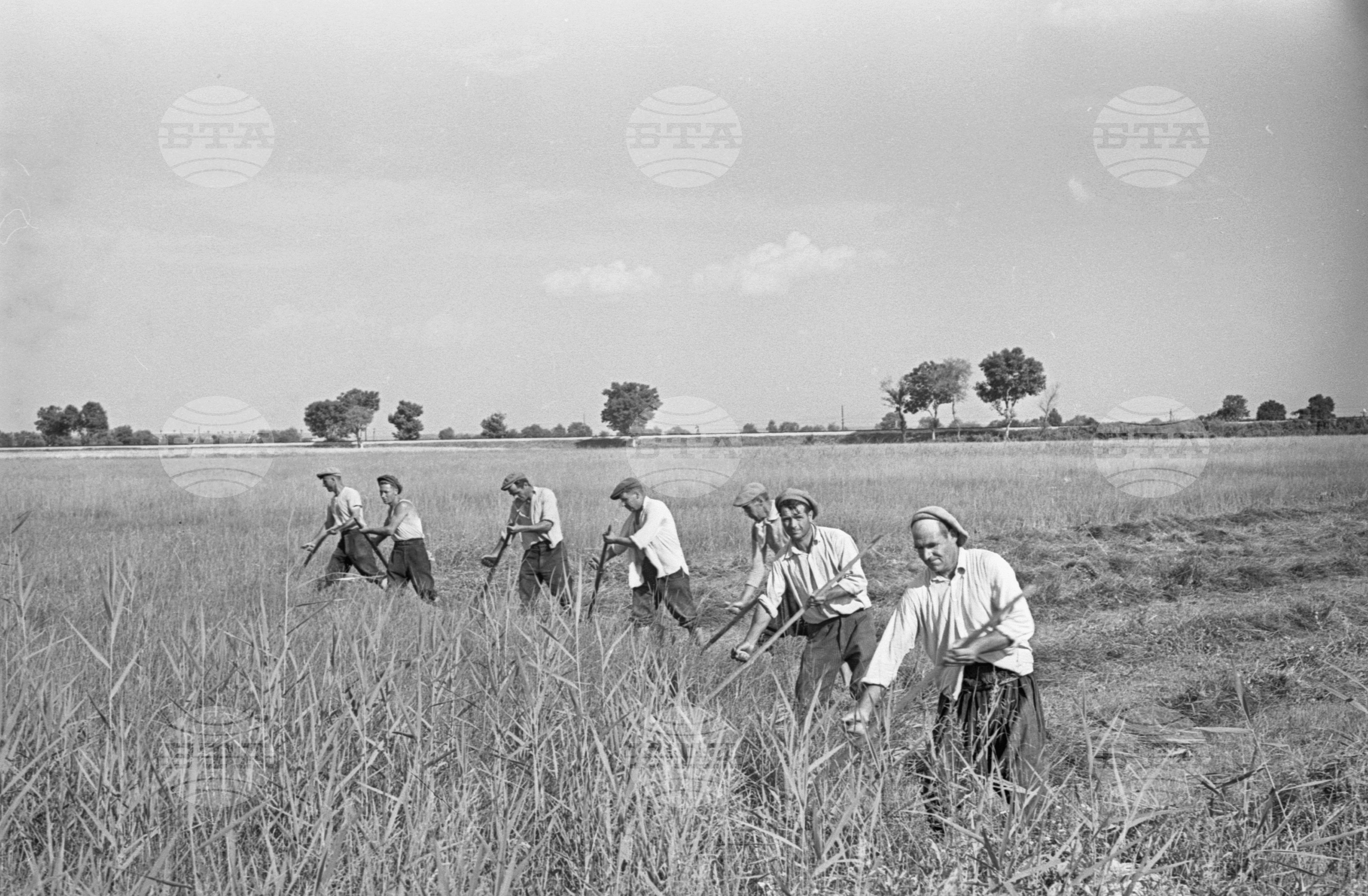 село Маноле, втора Пловдивска околия