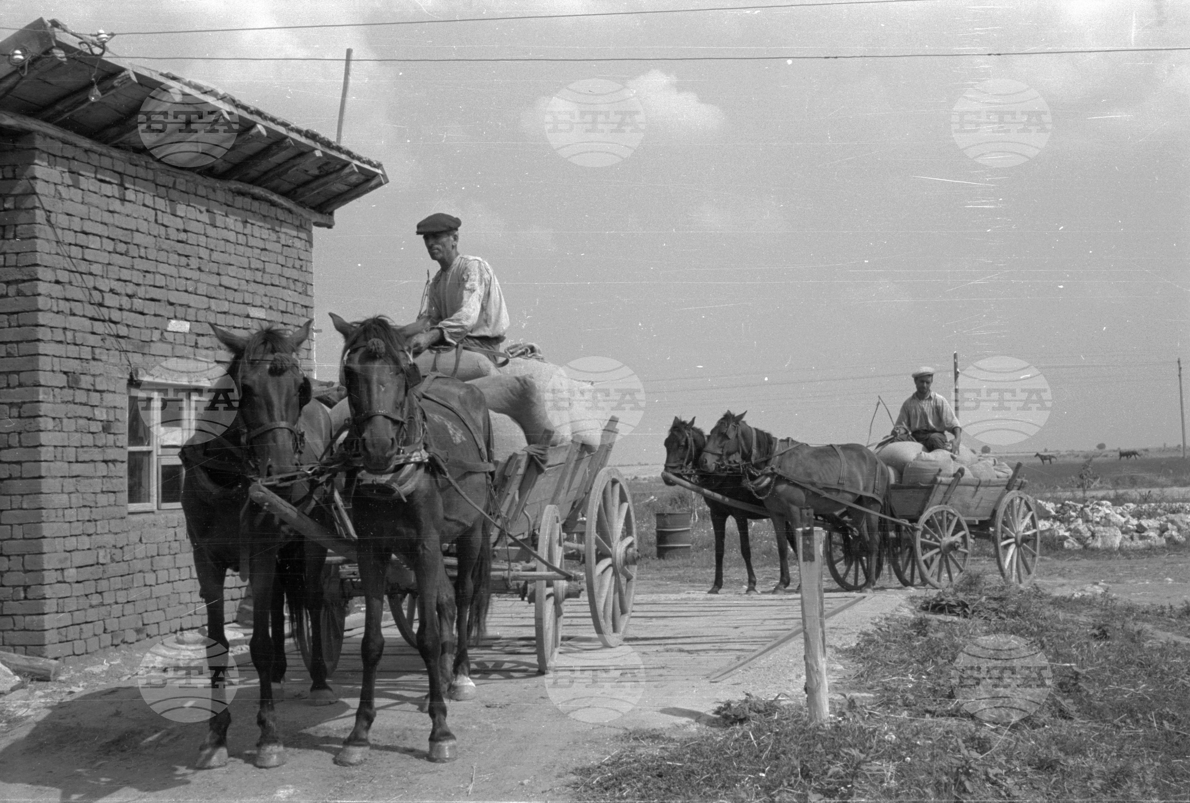 В ТКЗС ЗАФИРОВО, ТУТРАКАНСКО