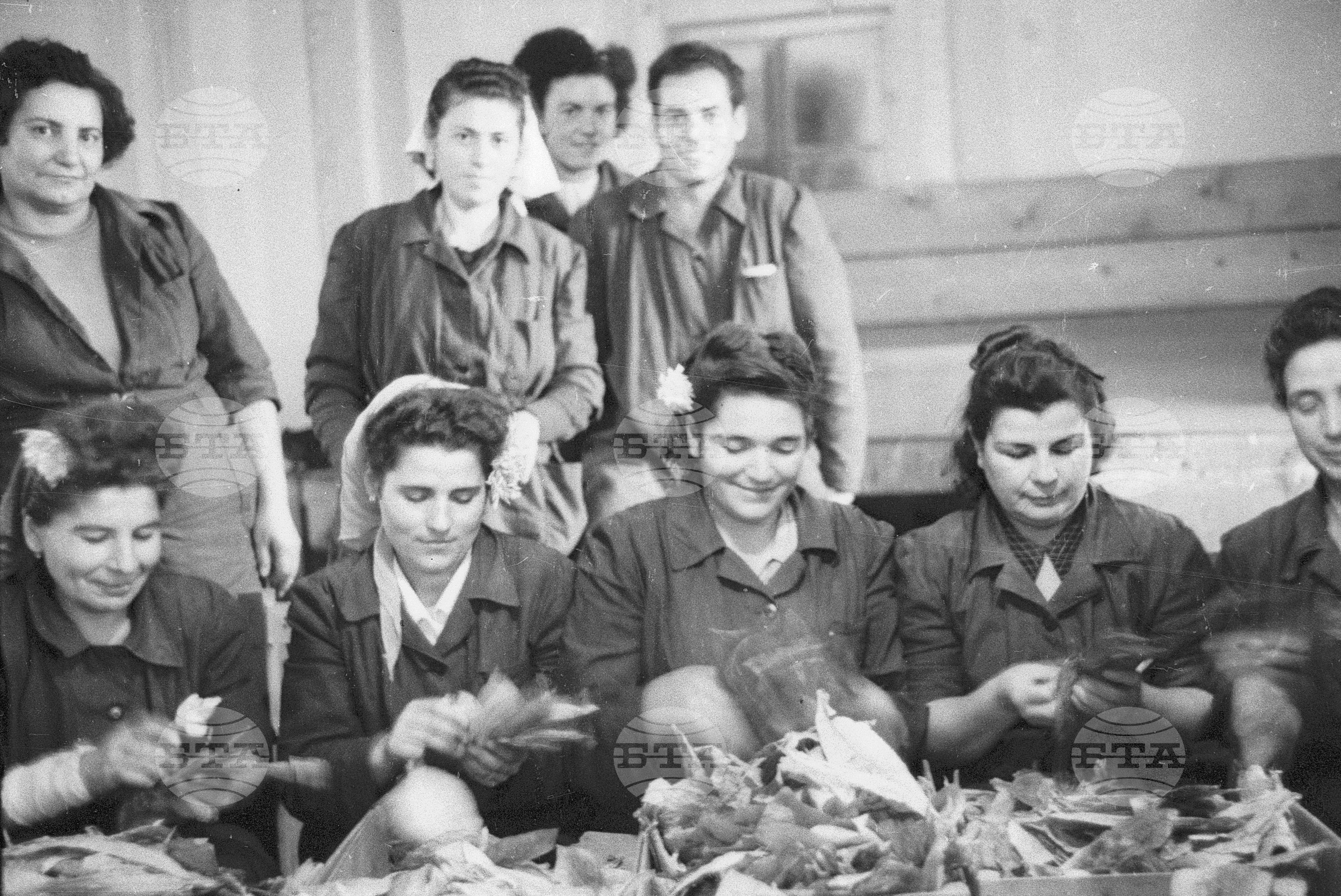 Ирина Боянова предава своя опит, 1951
