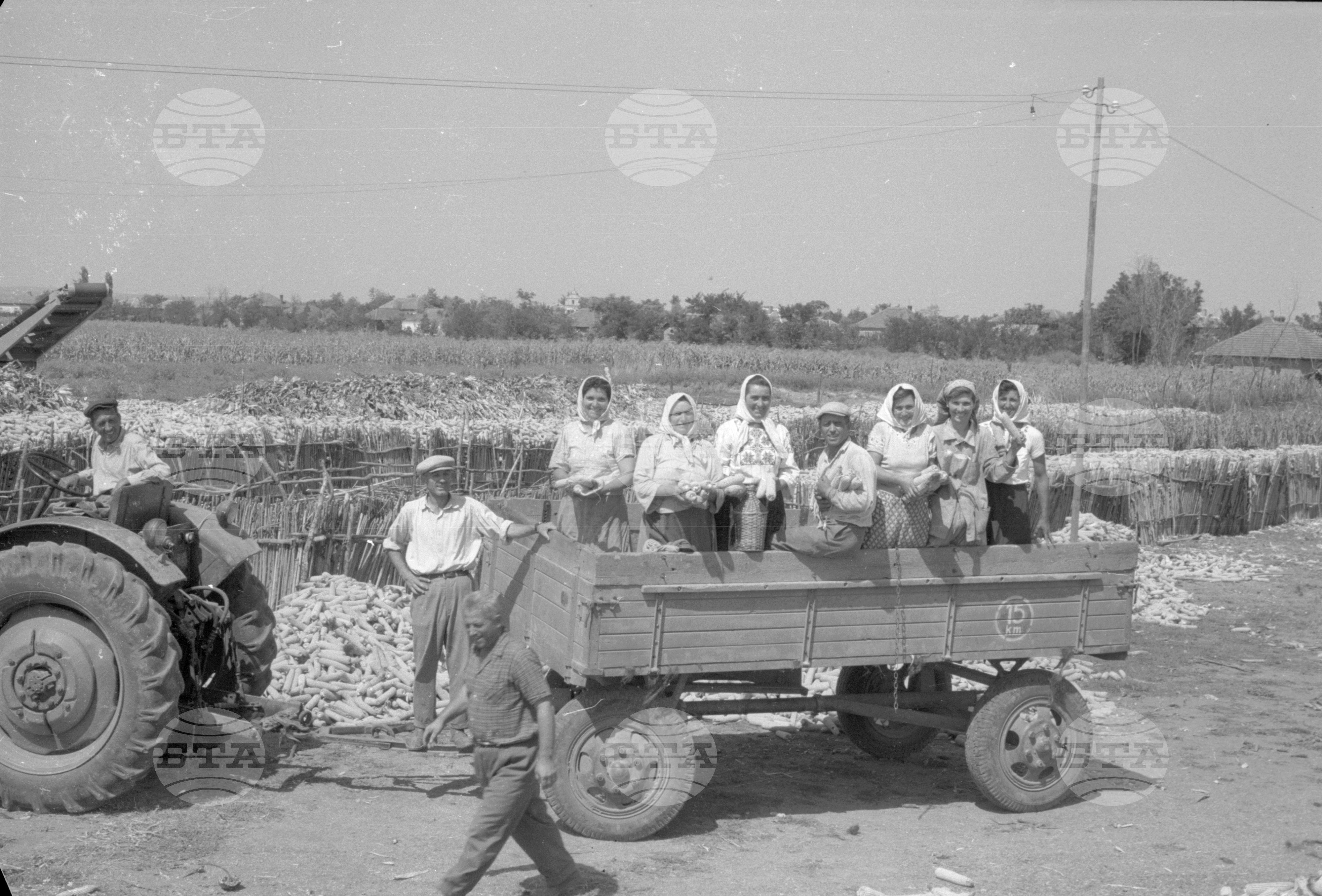 ТКЗС (Трудово кооперативно земеделско стопанство) във Видин - 1963