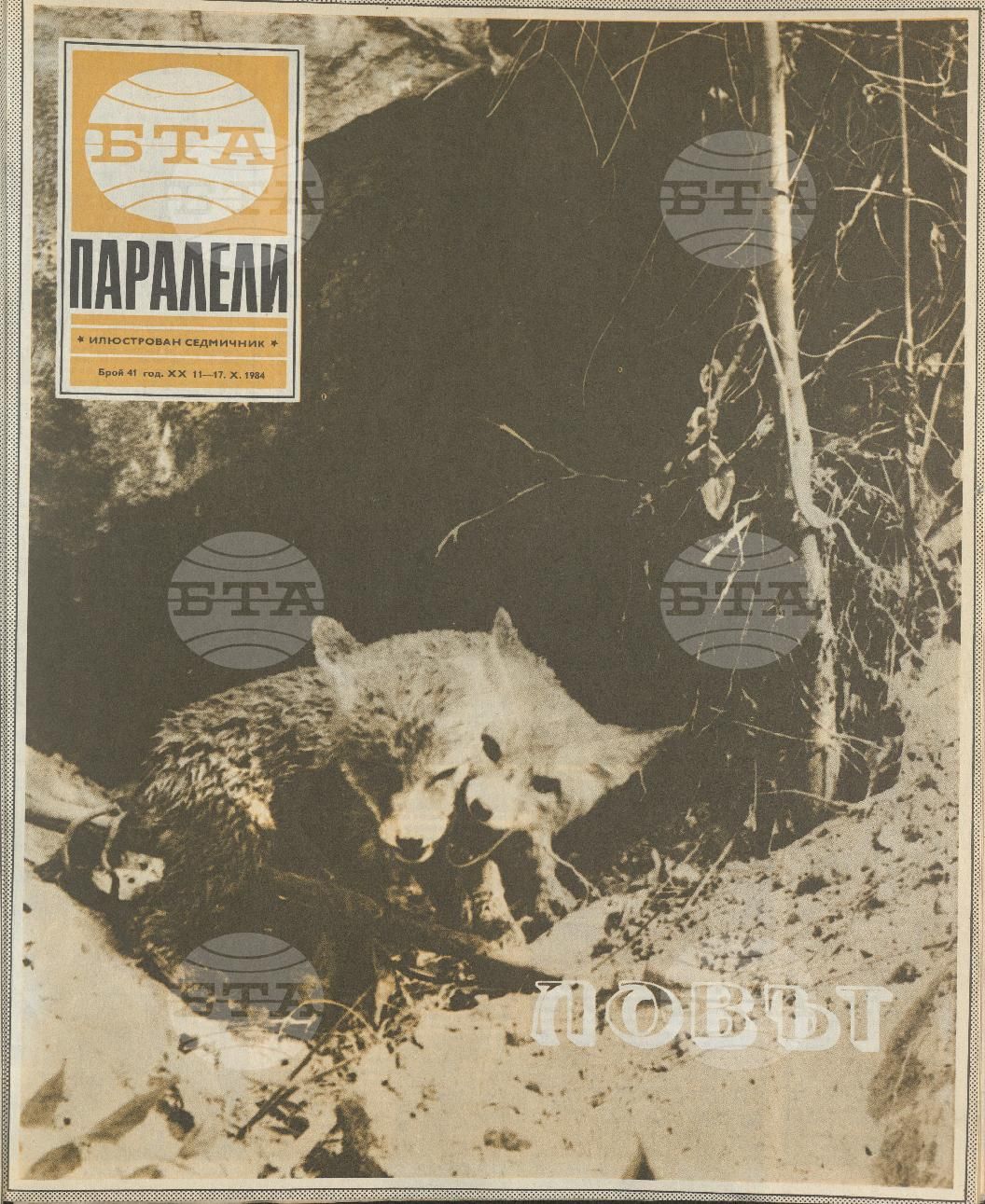 Паралели 1 - 52 брой 1984 година