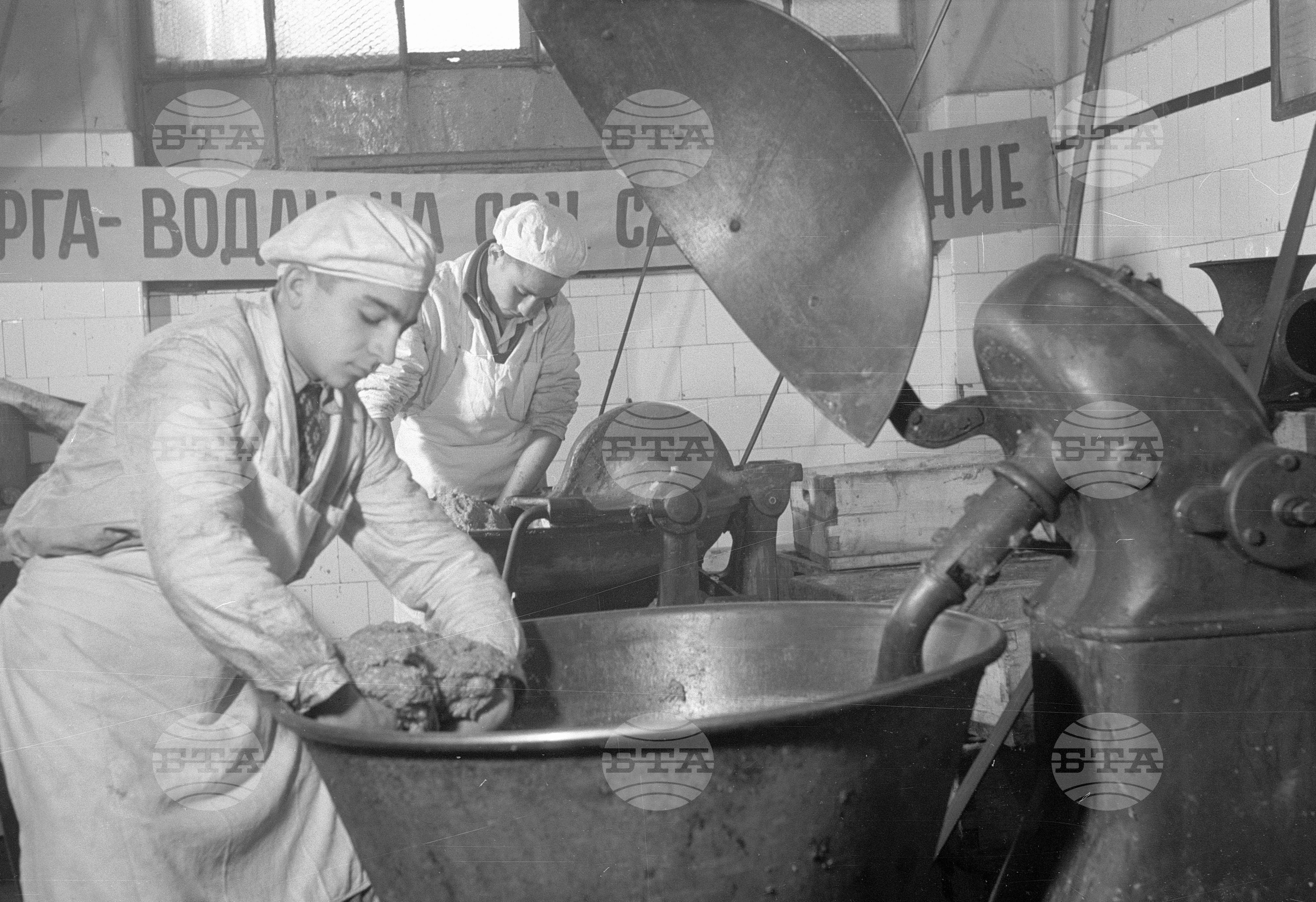 Техникум по месопреработване в София - 1953 година