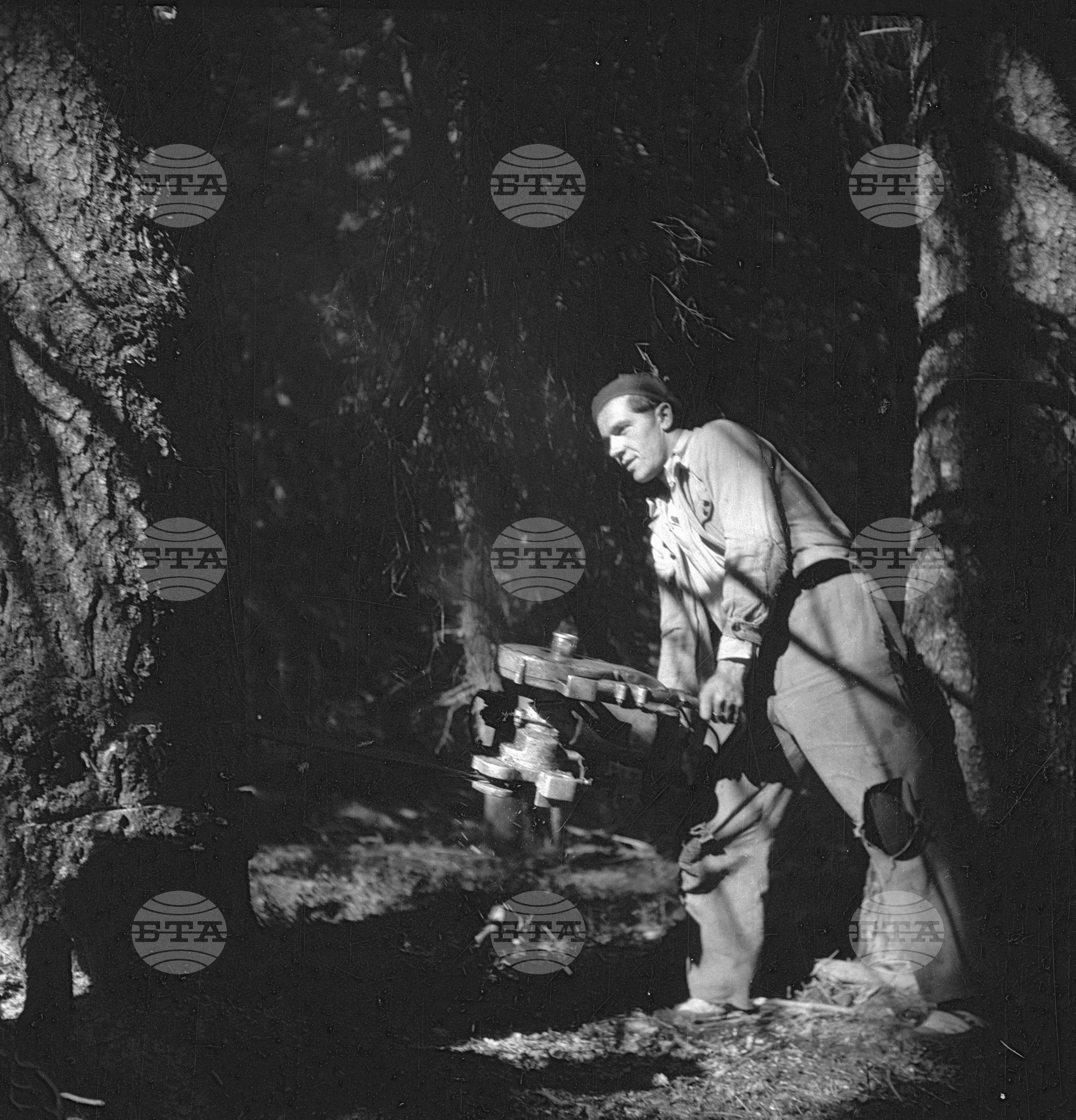Дърводобив в държавни горски стопанства, 1951 - част 7