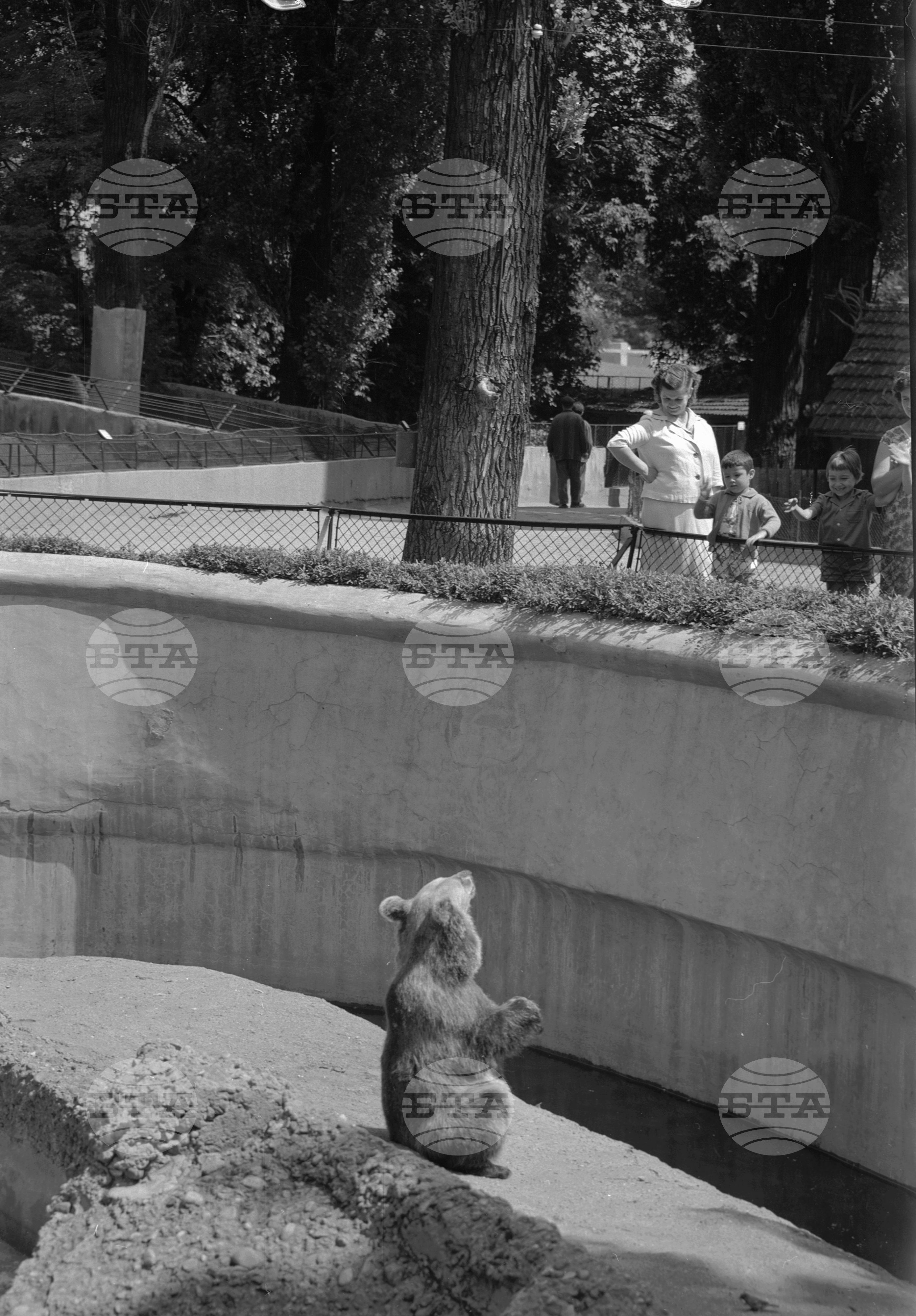 Зоологическа градина София - 1962 година