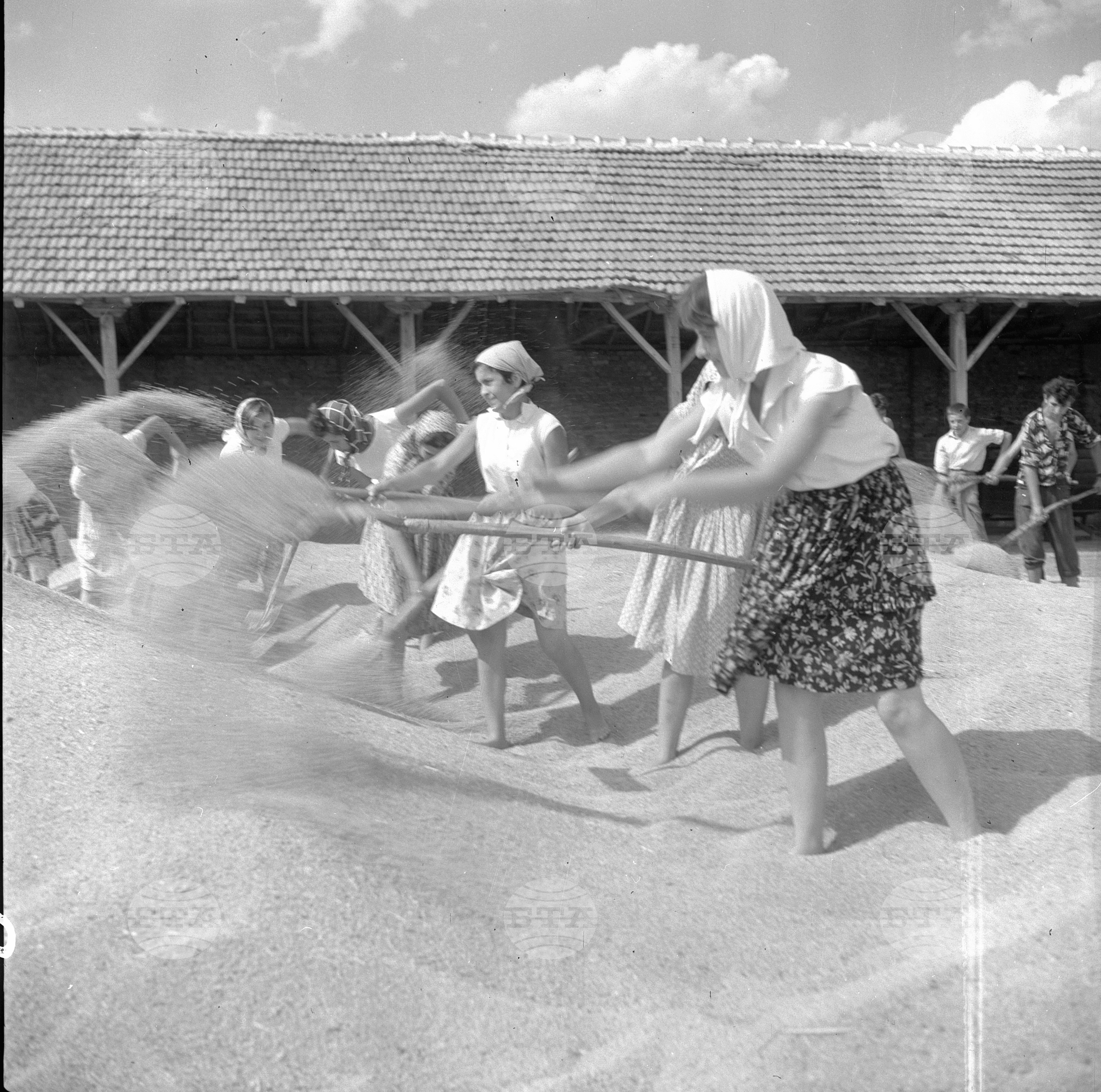 По комсомолско поръчение - 1963