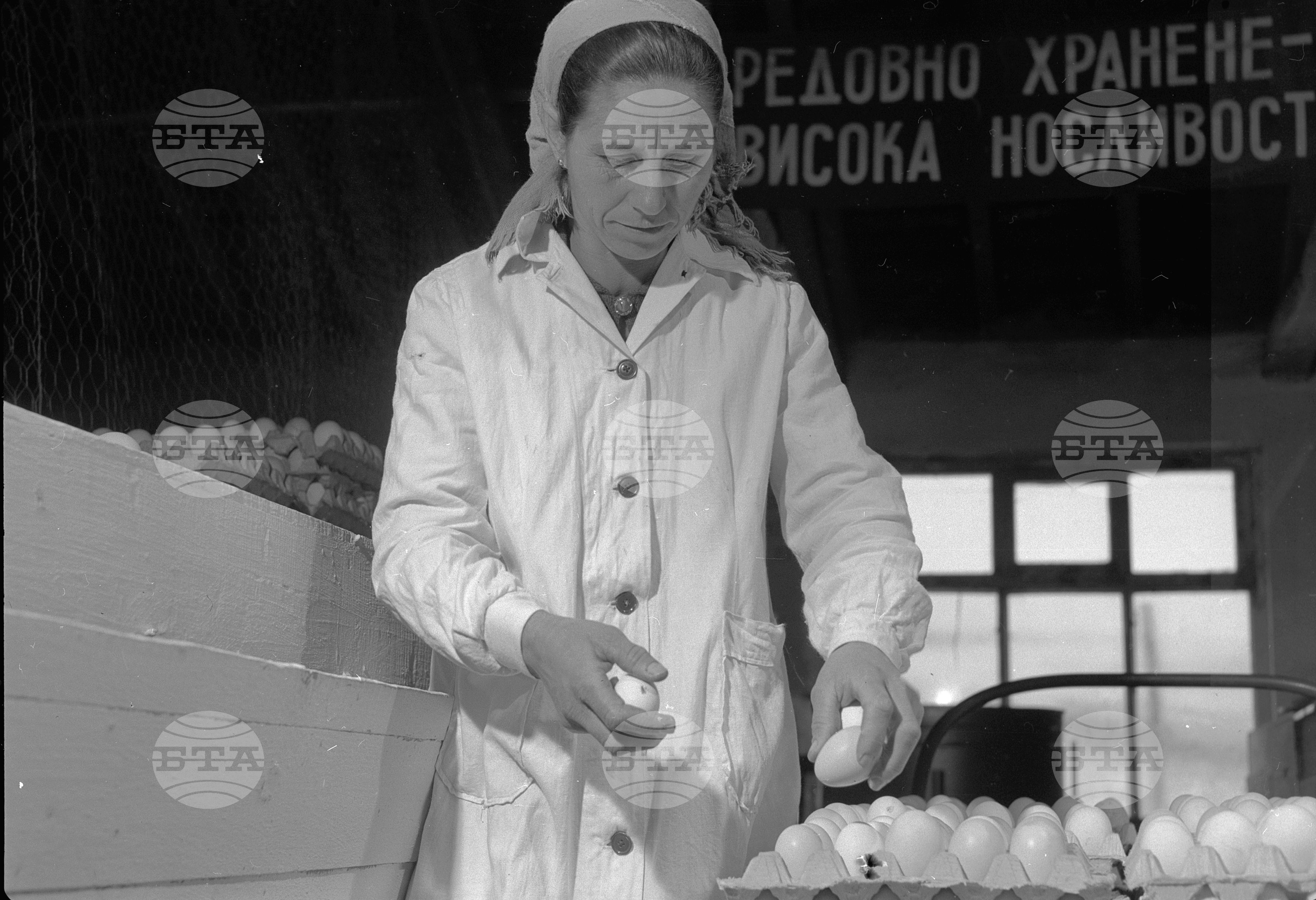 При птицегледачката Атанаска Козарска