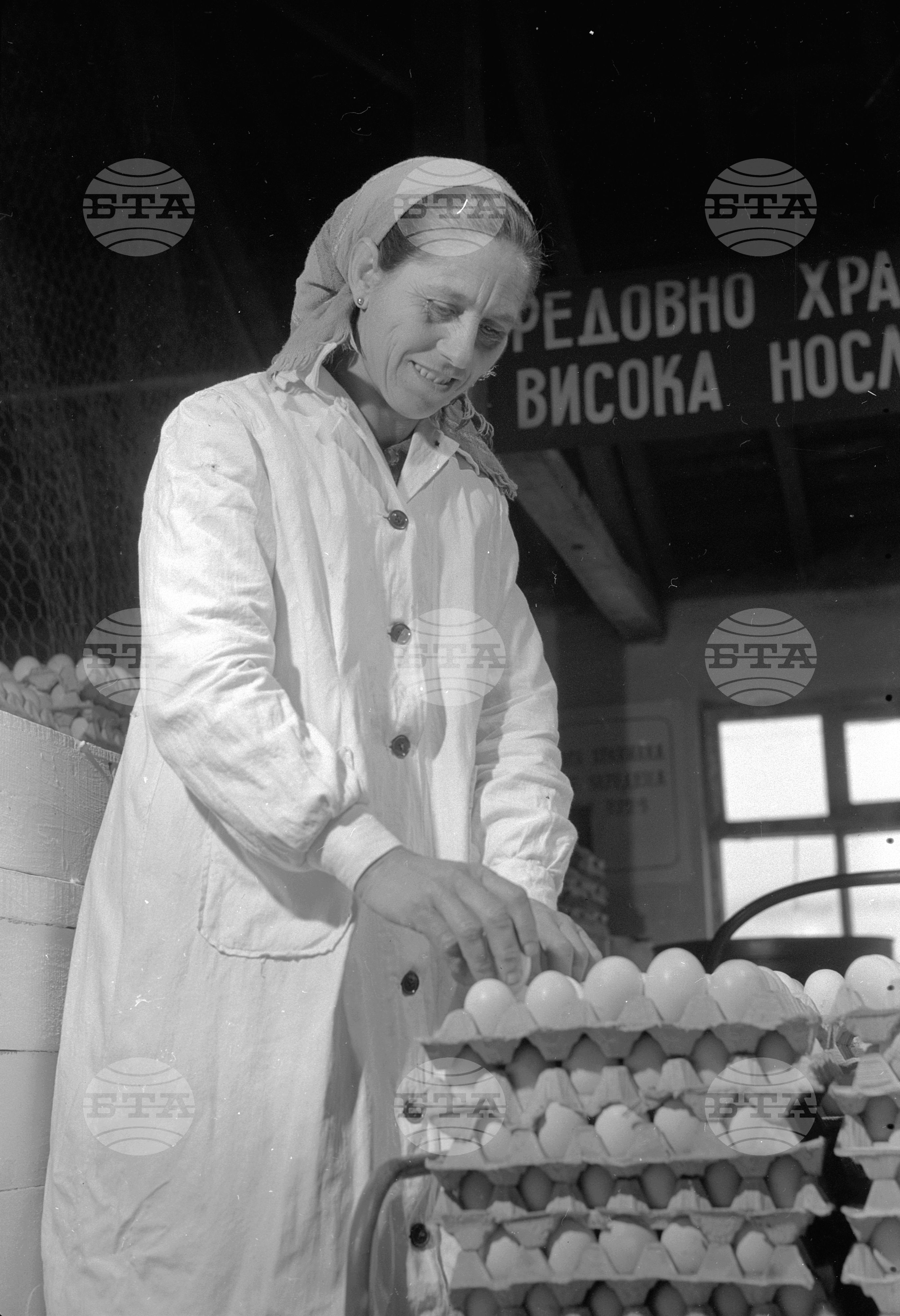 При птицегледачката Атанаска Козарска
