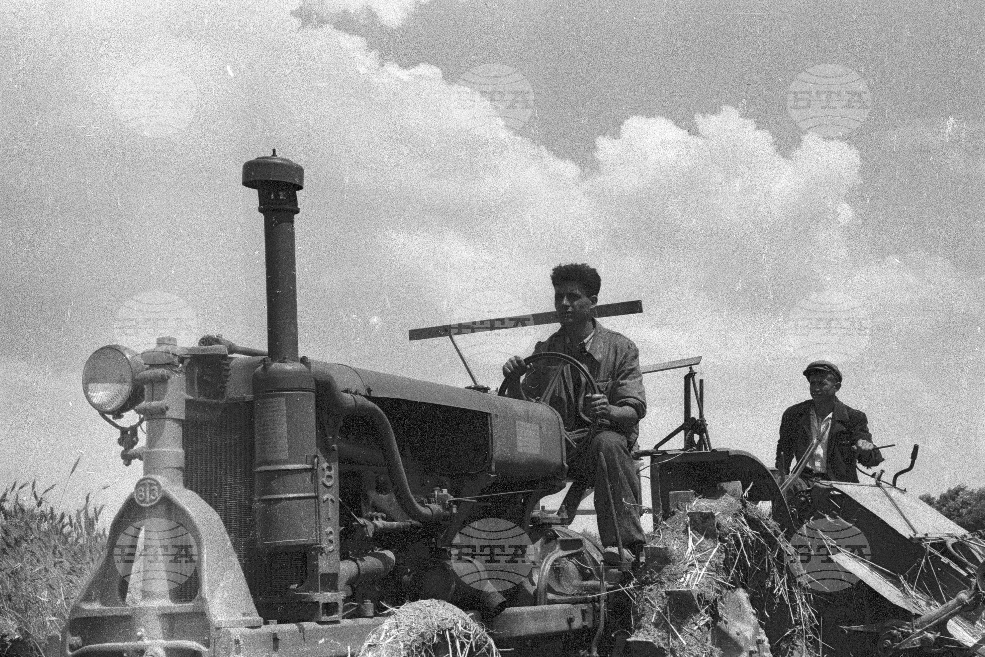 Жътва в Голямо Конаре (дн. гр. Съединение), 1951