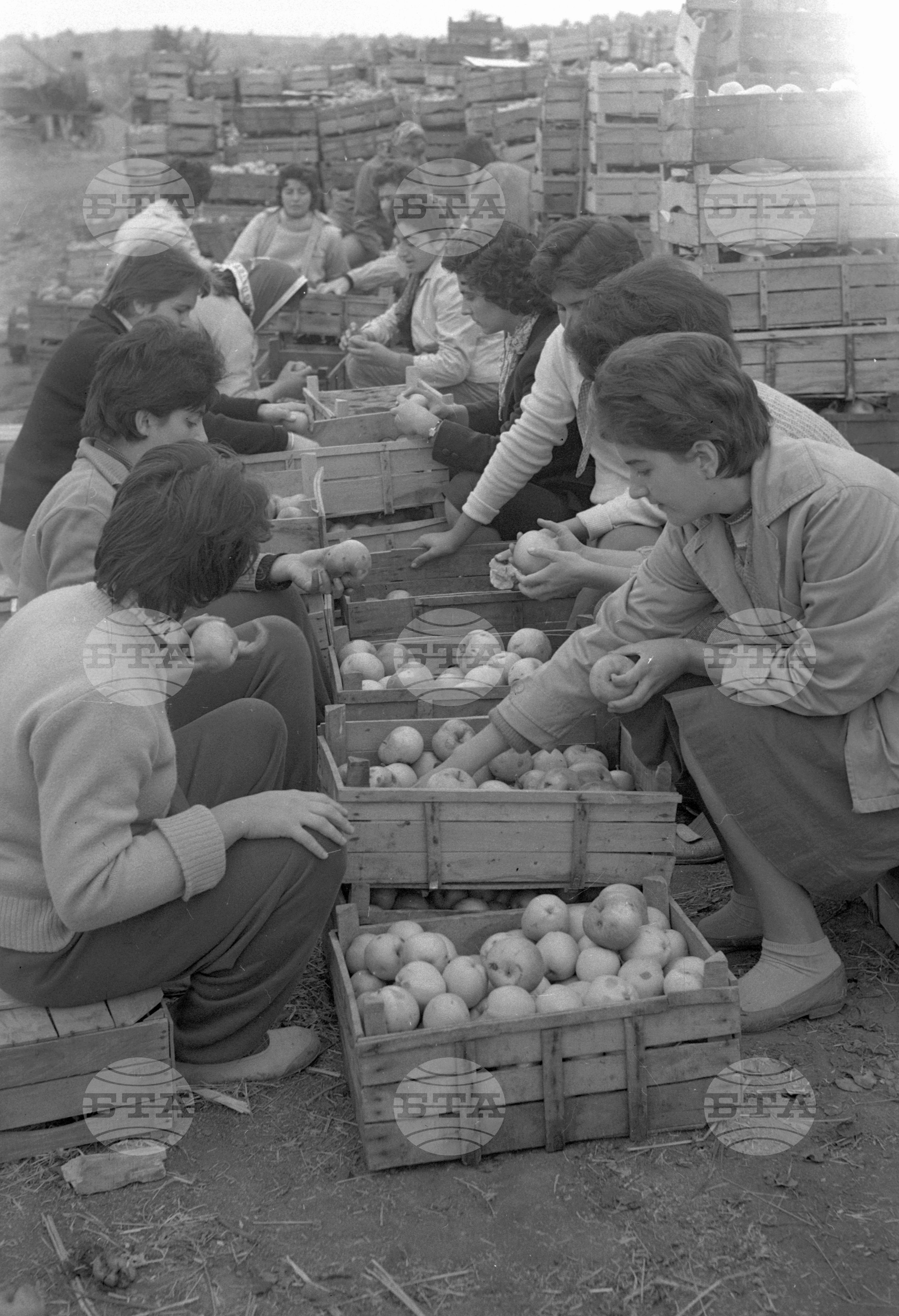 Из Кюстендилски окръг - септември 1962 година