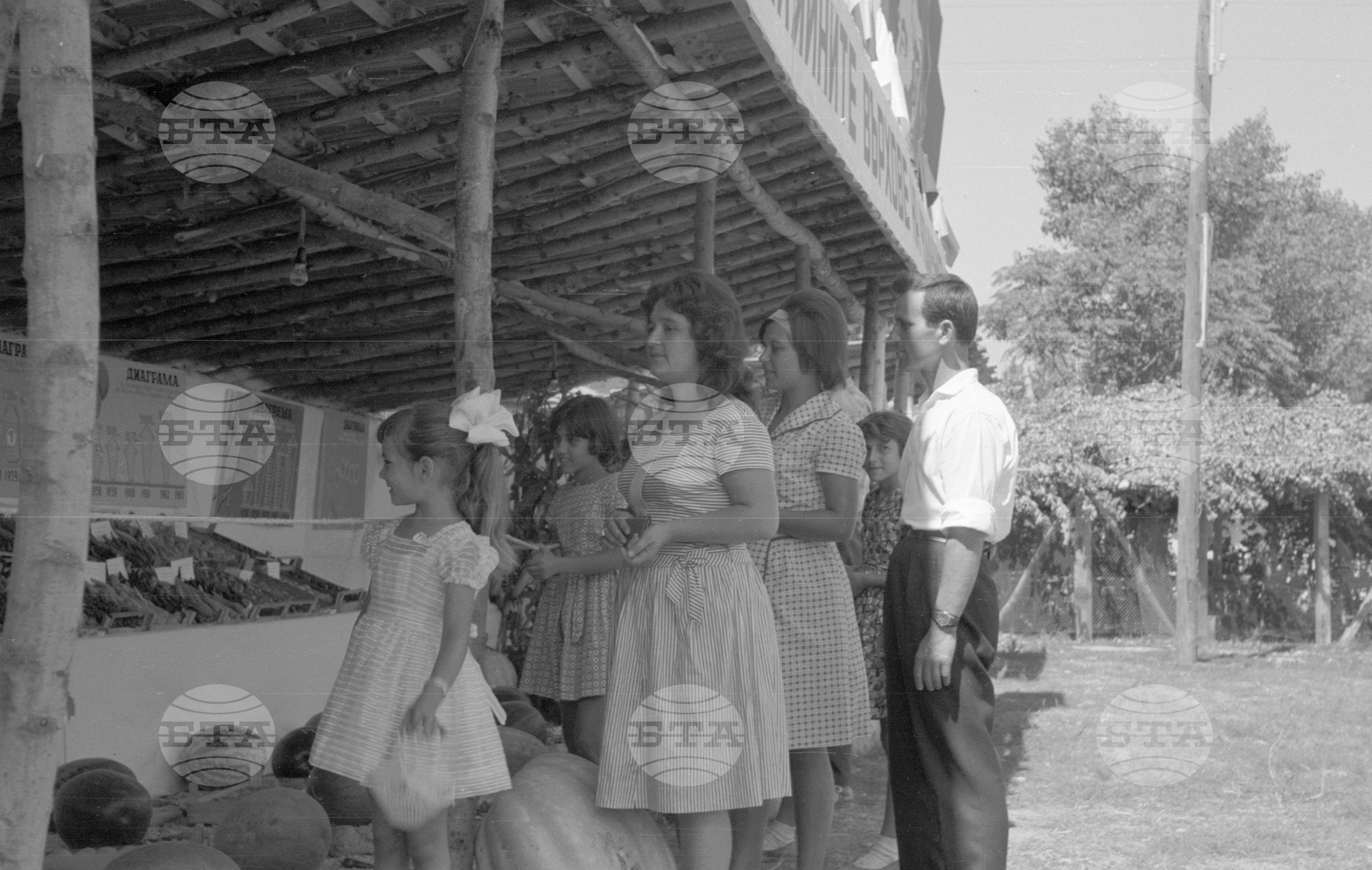 Из Видински окръг 1963 година