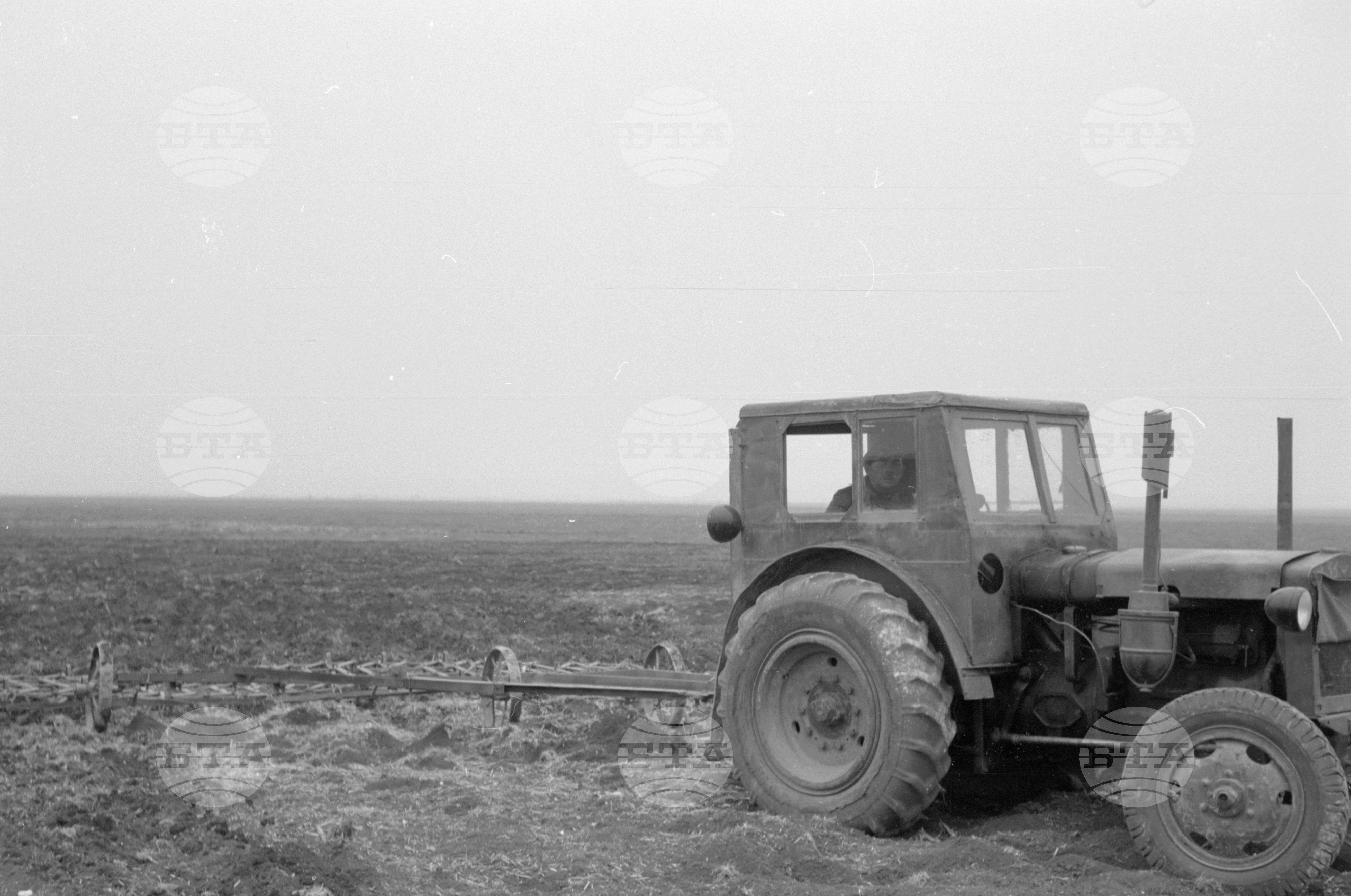 В Трудовото кооперативно земеделско стопанство (ТКЗС) "Димитър Благоев" село Гулянци, Плевенски окръг