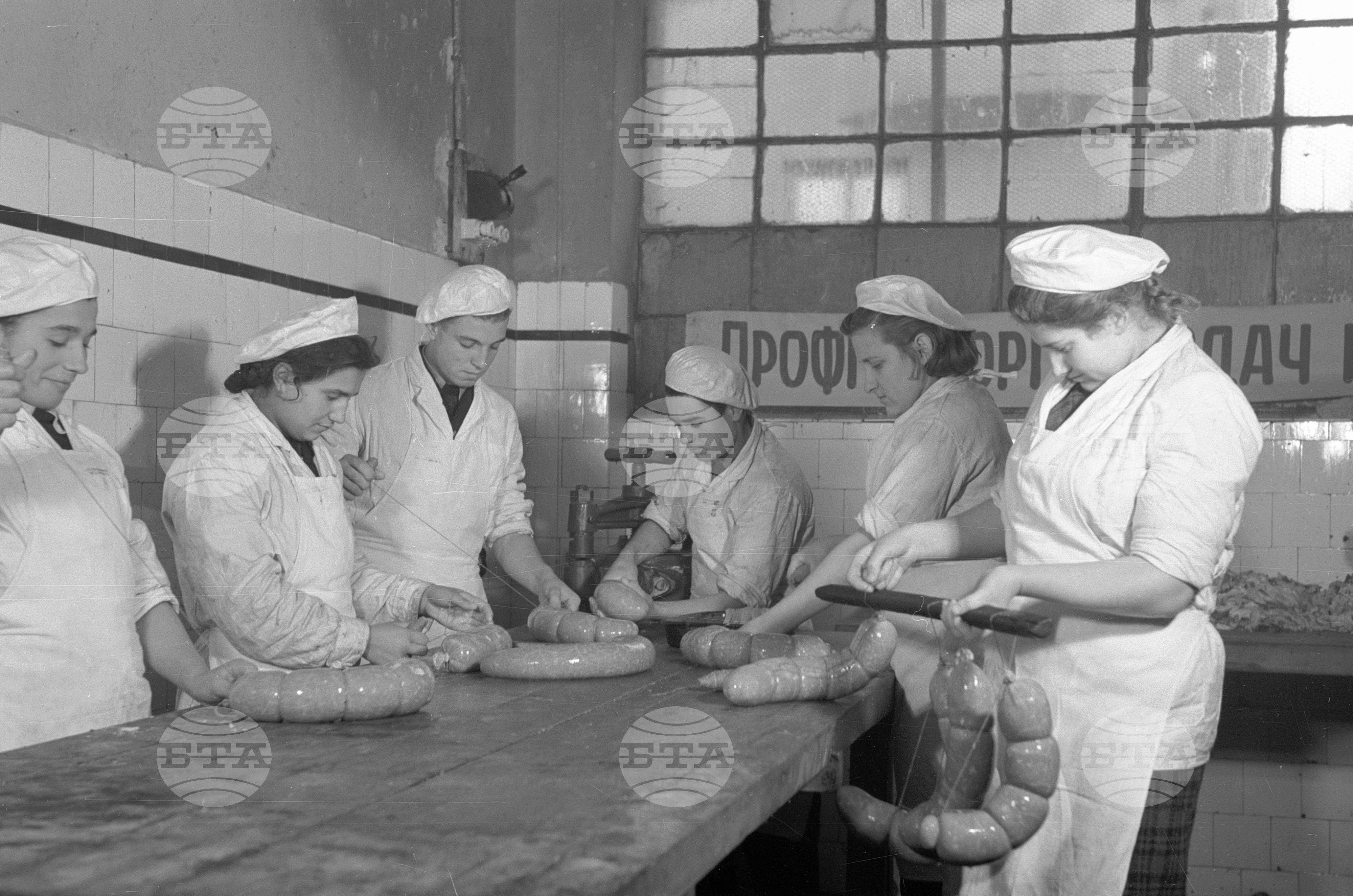 Техникум по месопреработване в София - 1953 година