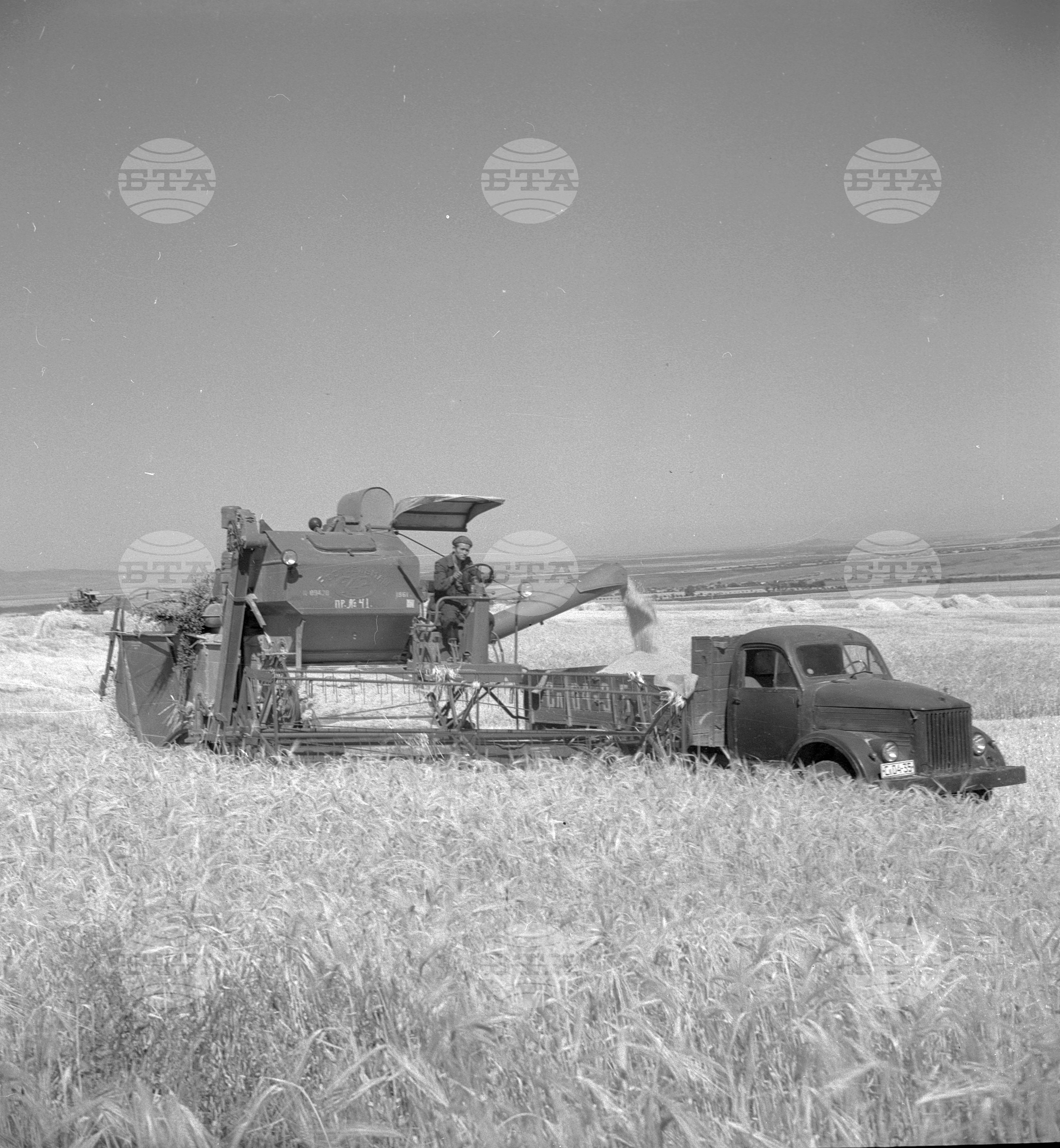 Жътва 1962 година