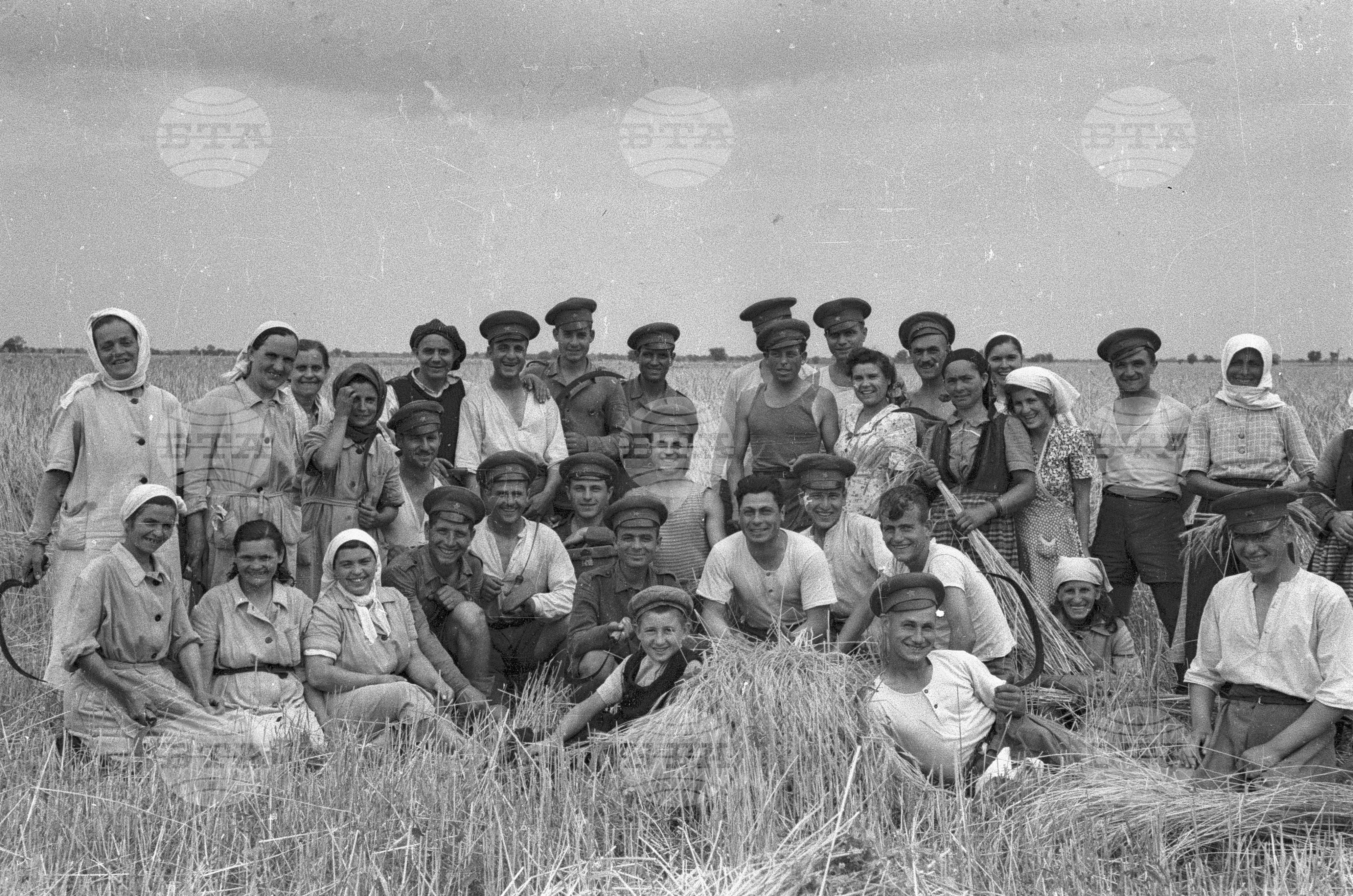 Жътва в Голямо Конаре (дн. гр. Съединение), 1951