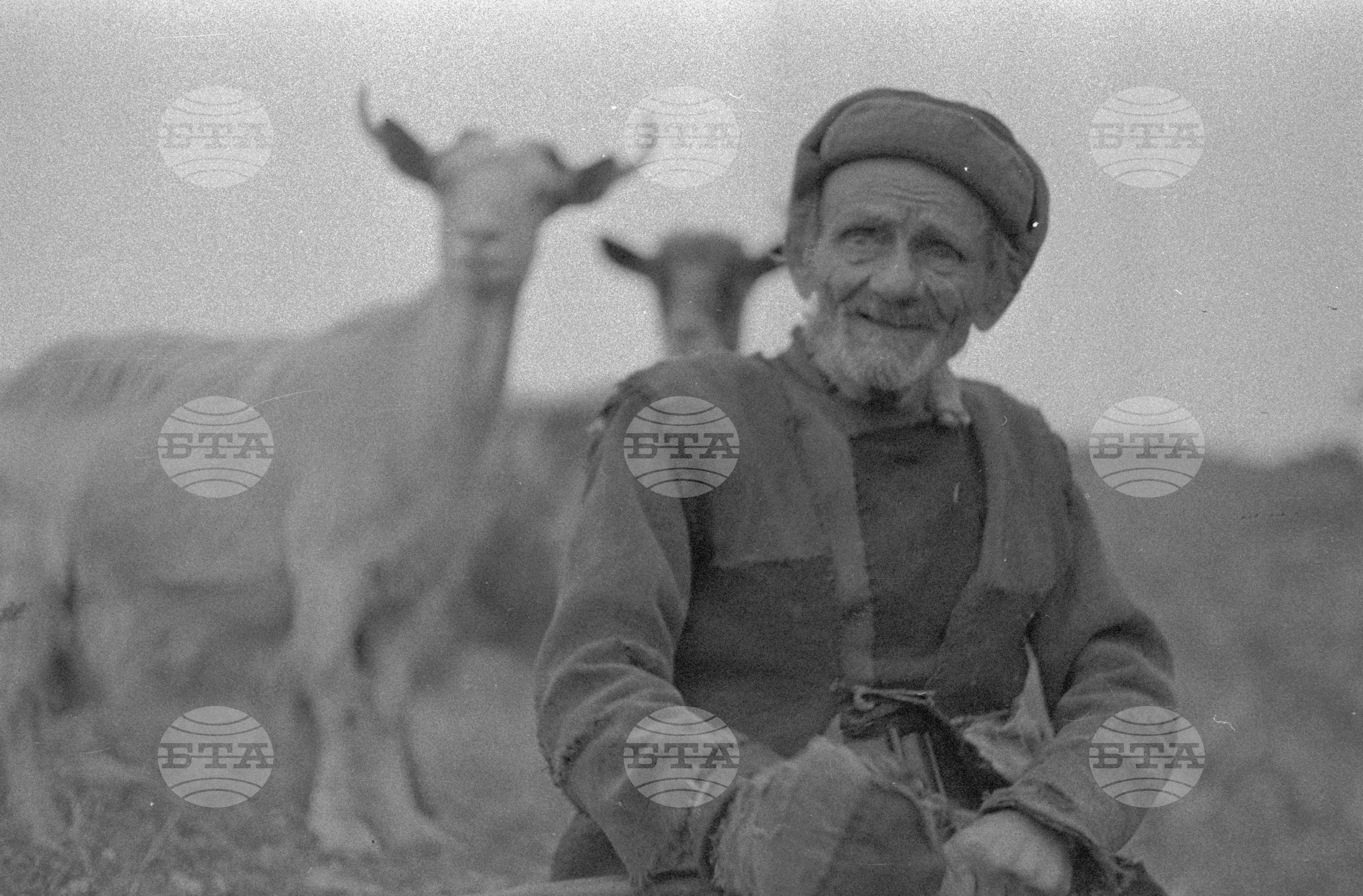 Огражден планина
