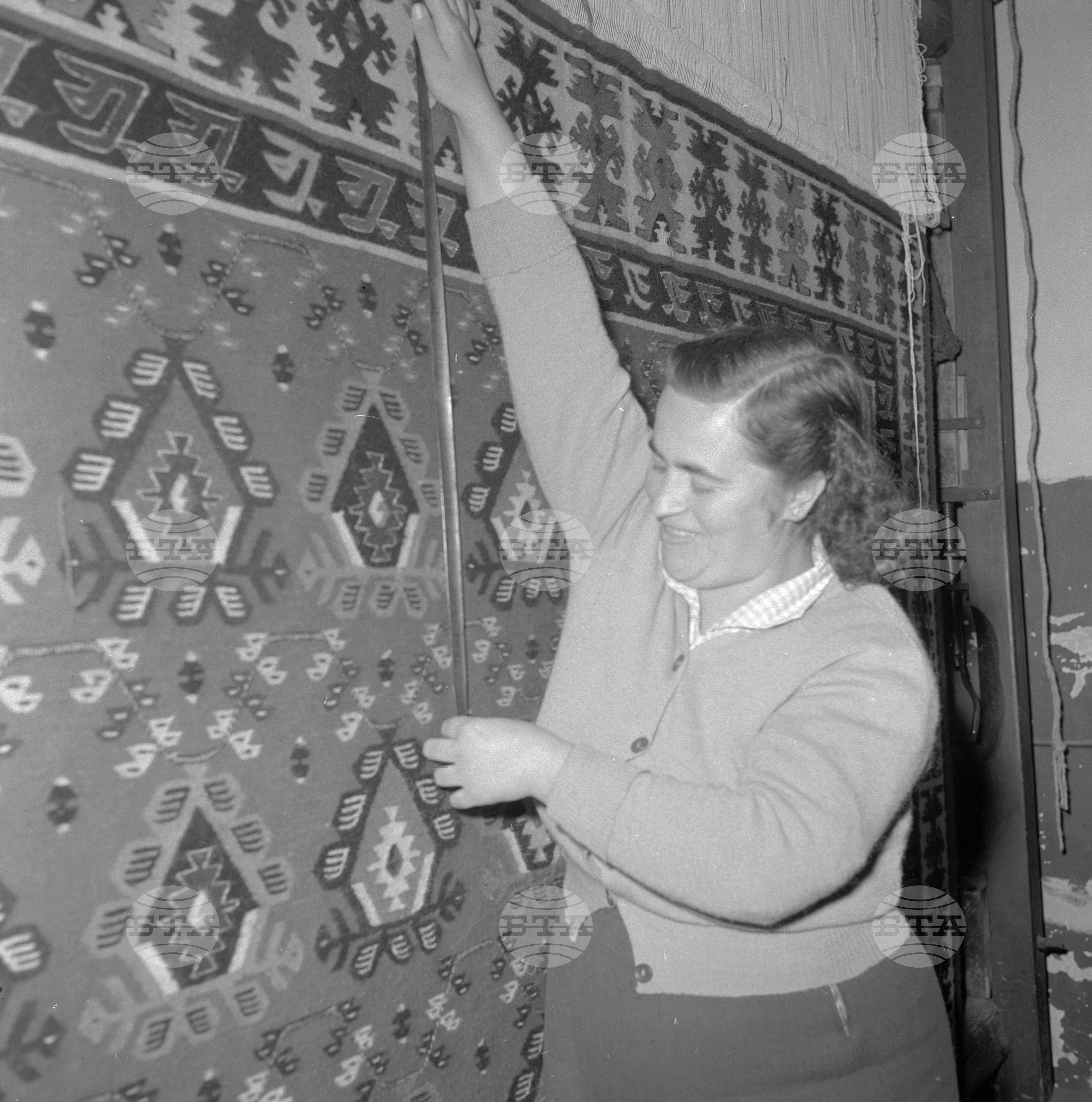 В Трудово-производителна кооперация (ТПК) "Ръчен труд" село Чипровци, Михайловградски окръг