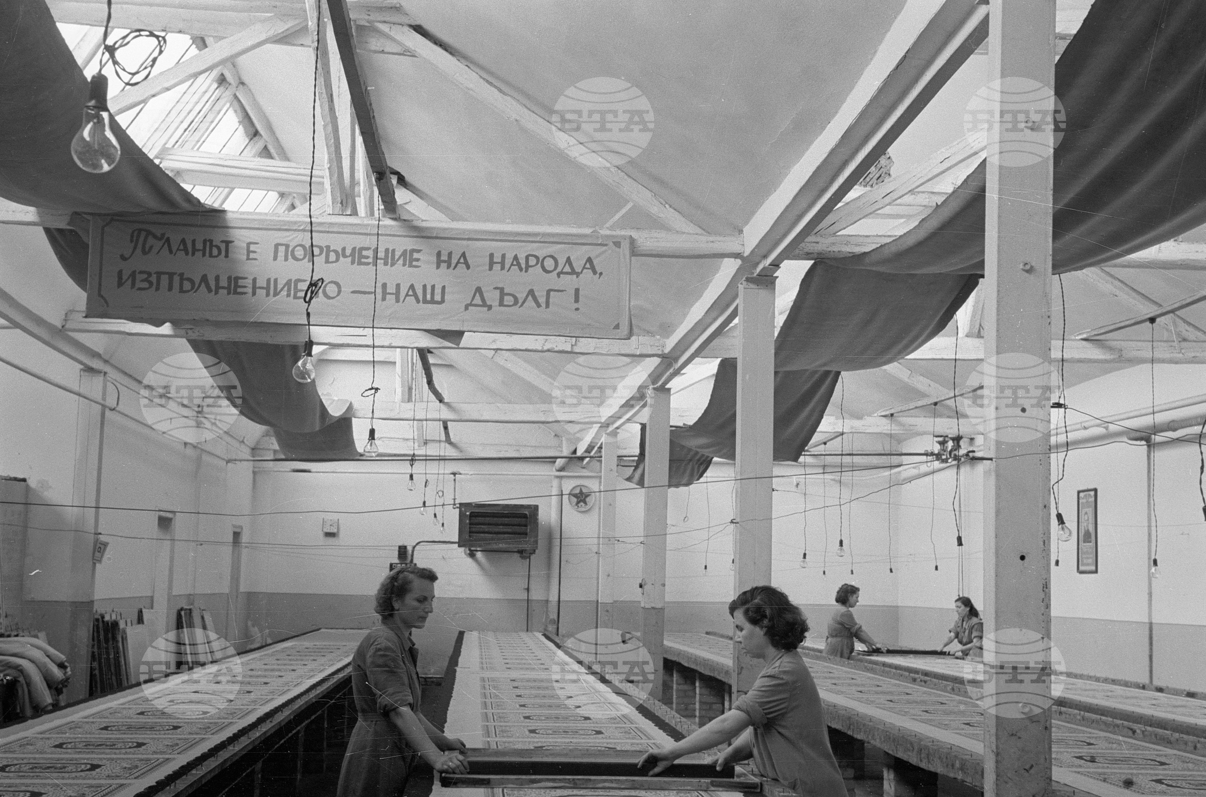 „Дунавска коприна", фабрика за обработка на коприна край Русе - 1953 година