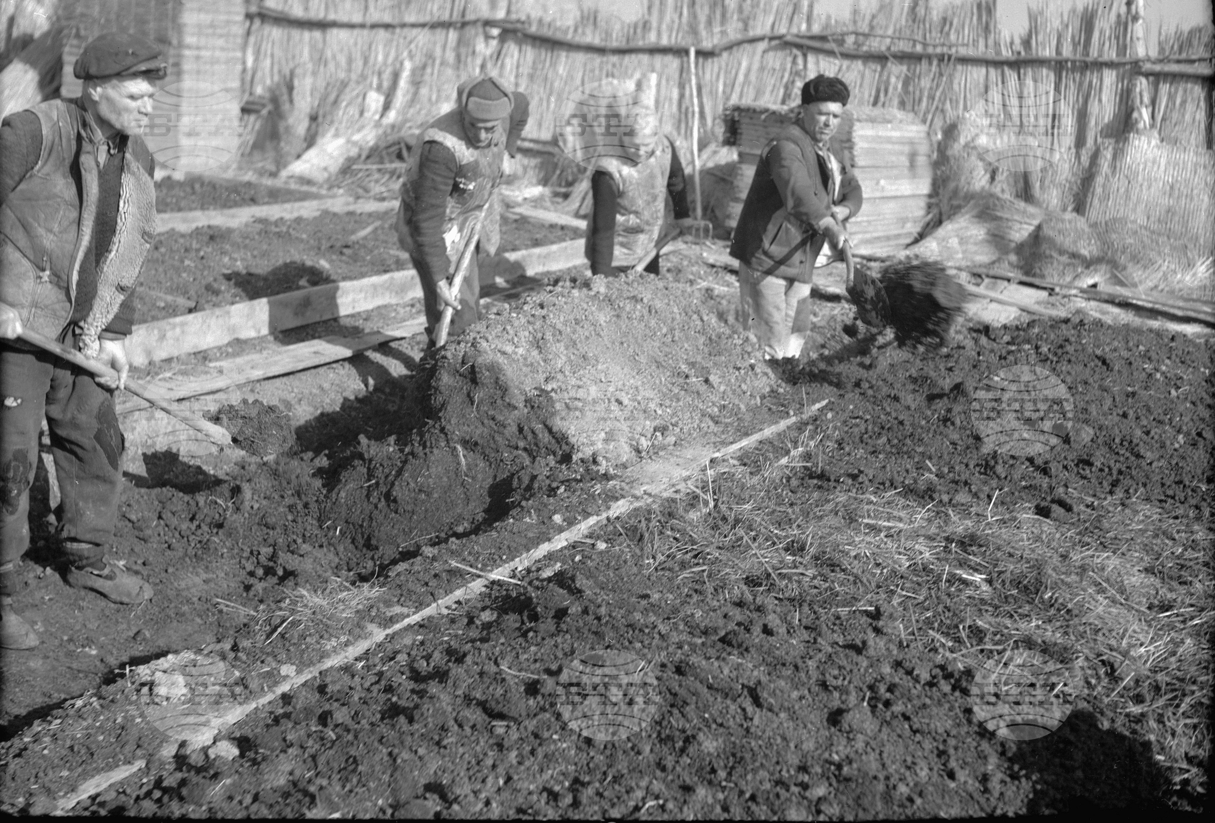 Село Чепинци - Софийски окръг