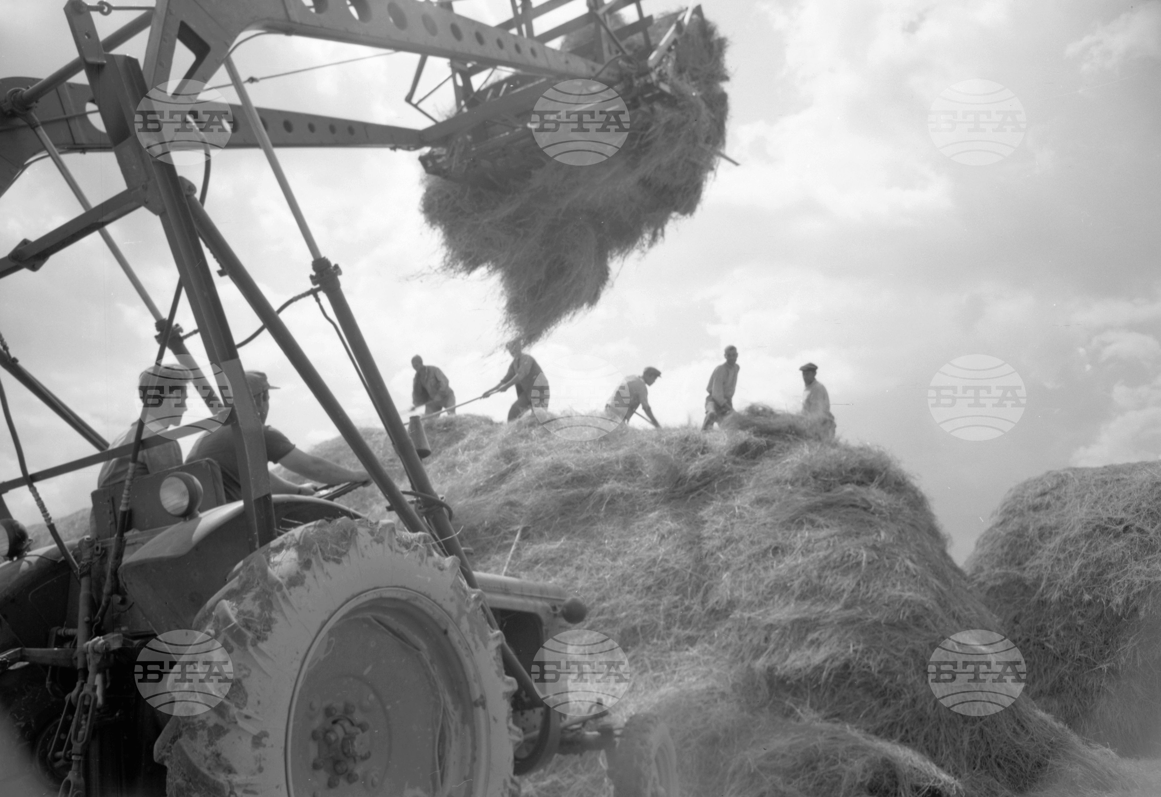 Из Пловдивски окръг - 1963