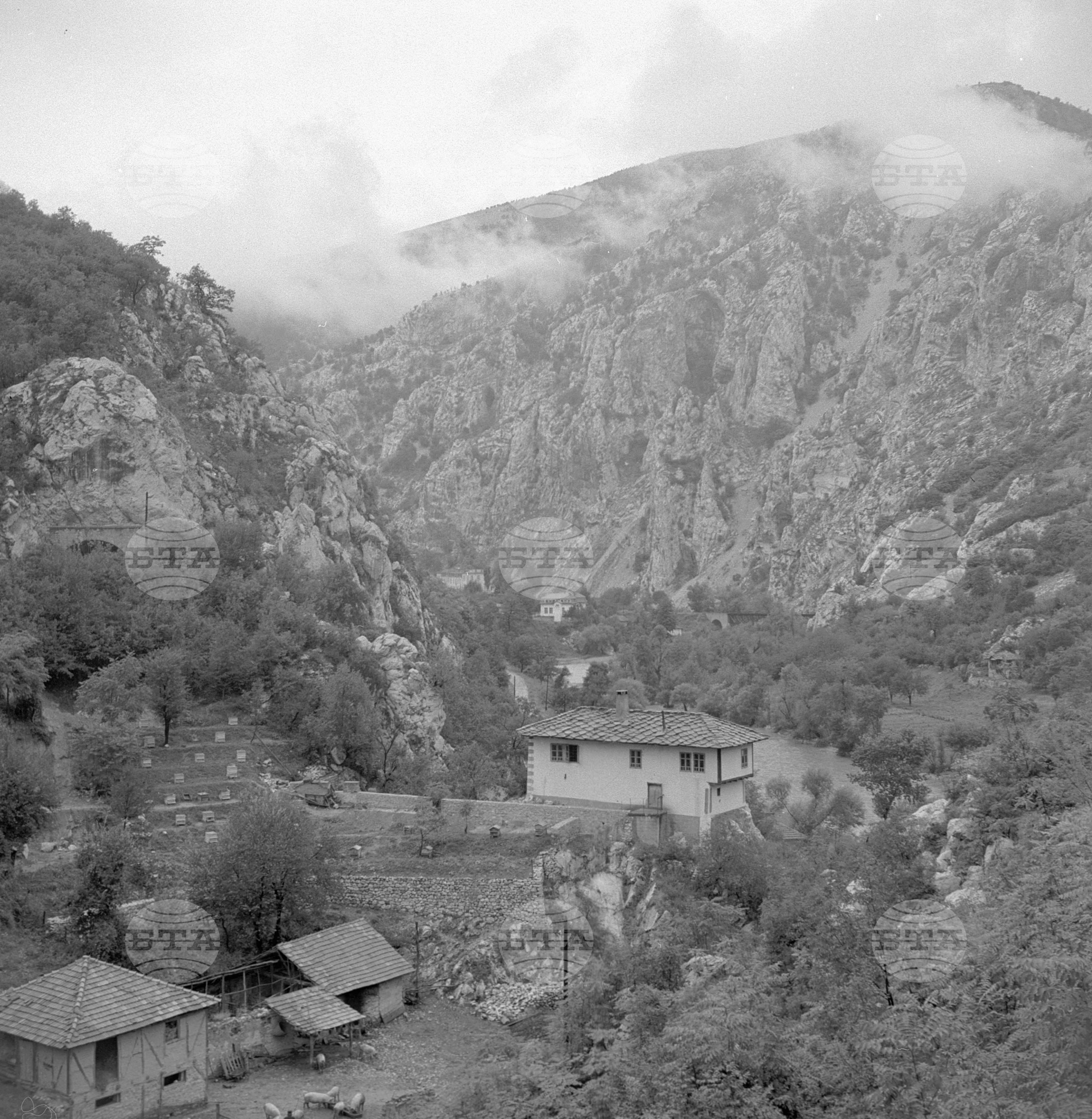 При овчарите от село Руска Бела - Врачанско