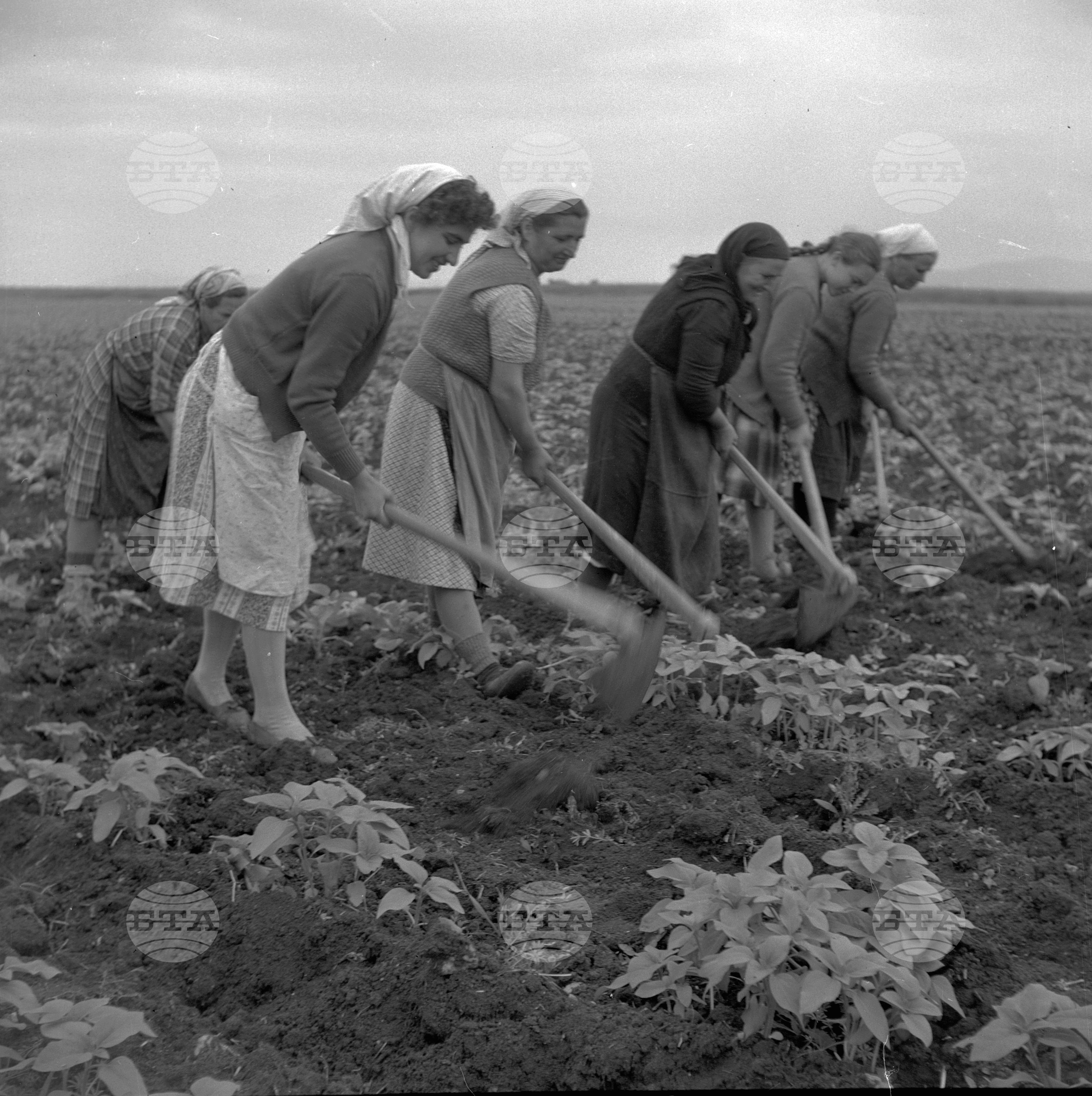 ТКЗС "Ленин" в село Драговница, Кюстендилски окръг