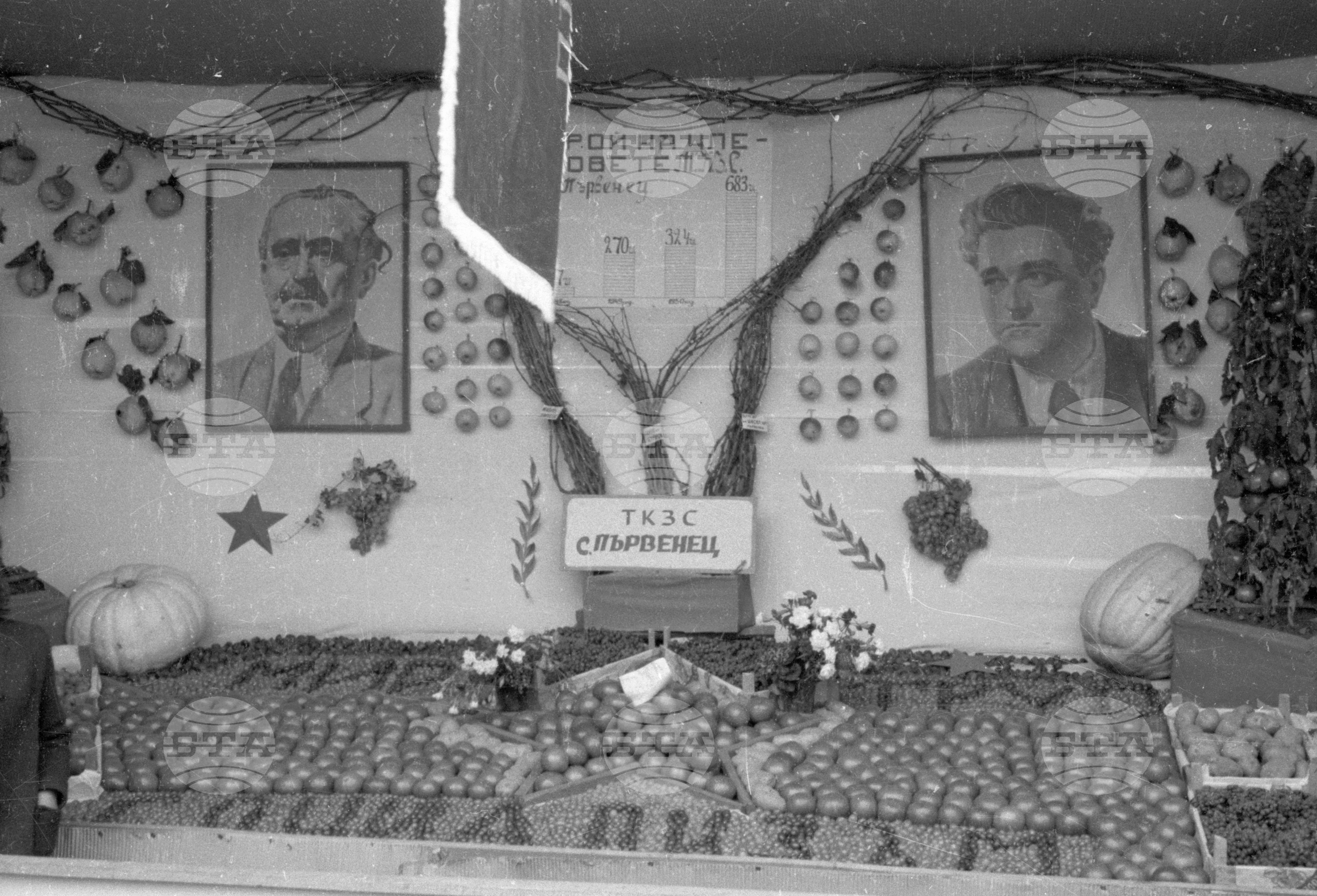 Селскостопанска изложба в Левскиград (дн. Карлово), 1951