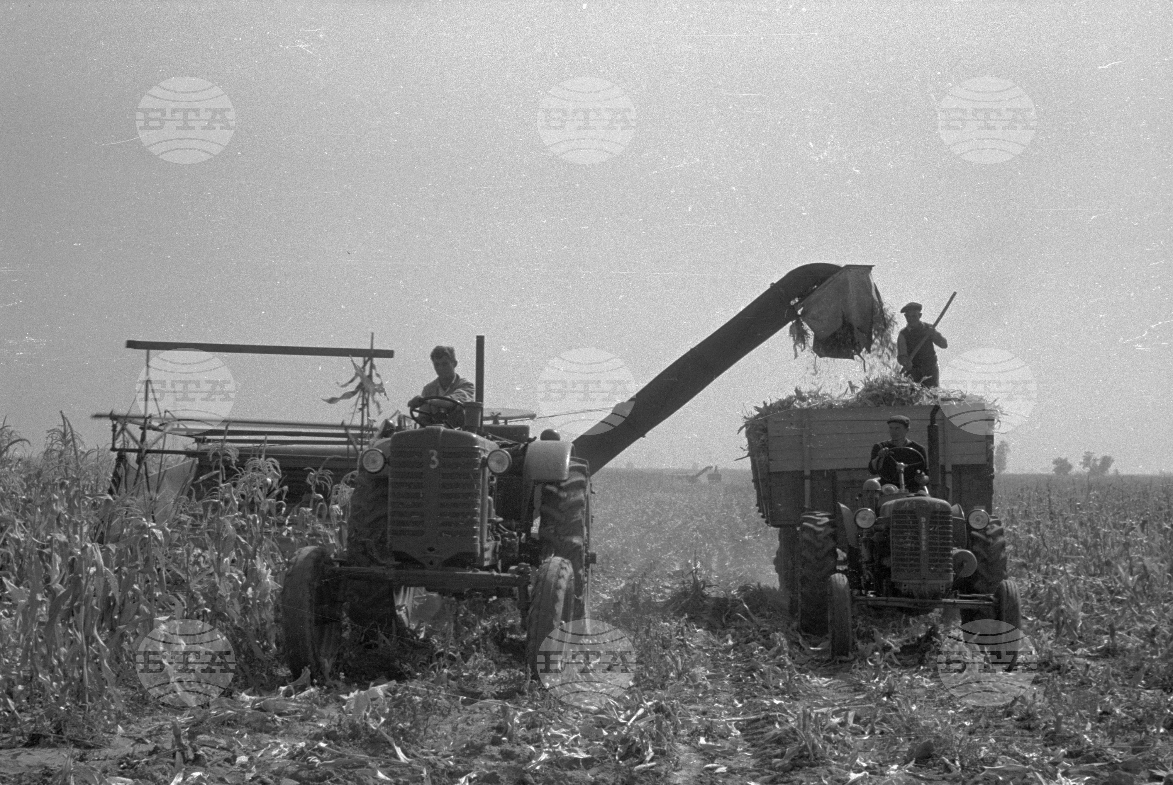 ТКЗС (Трудово кооперативно земеделско стопанство) в Елин Пелин