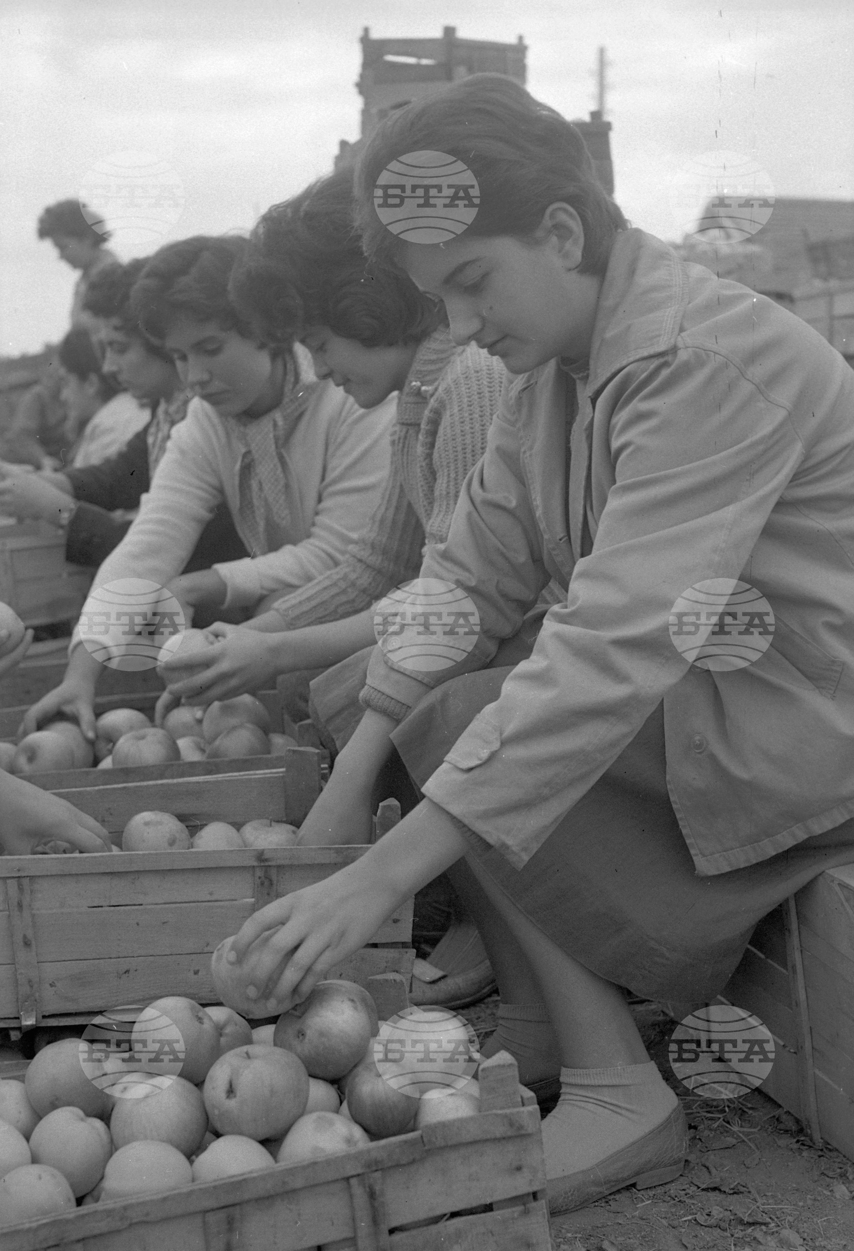 Из Кюстендилски окръг - септември 1962 година