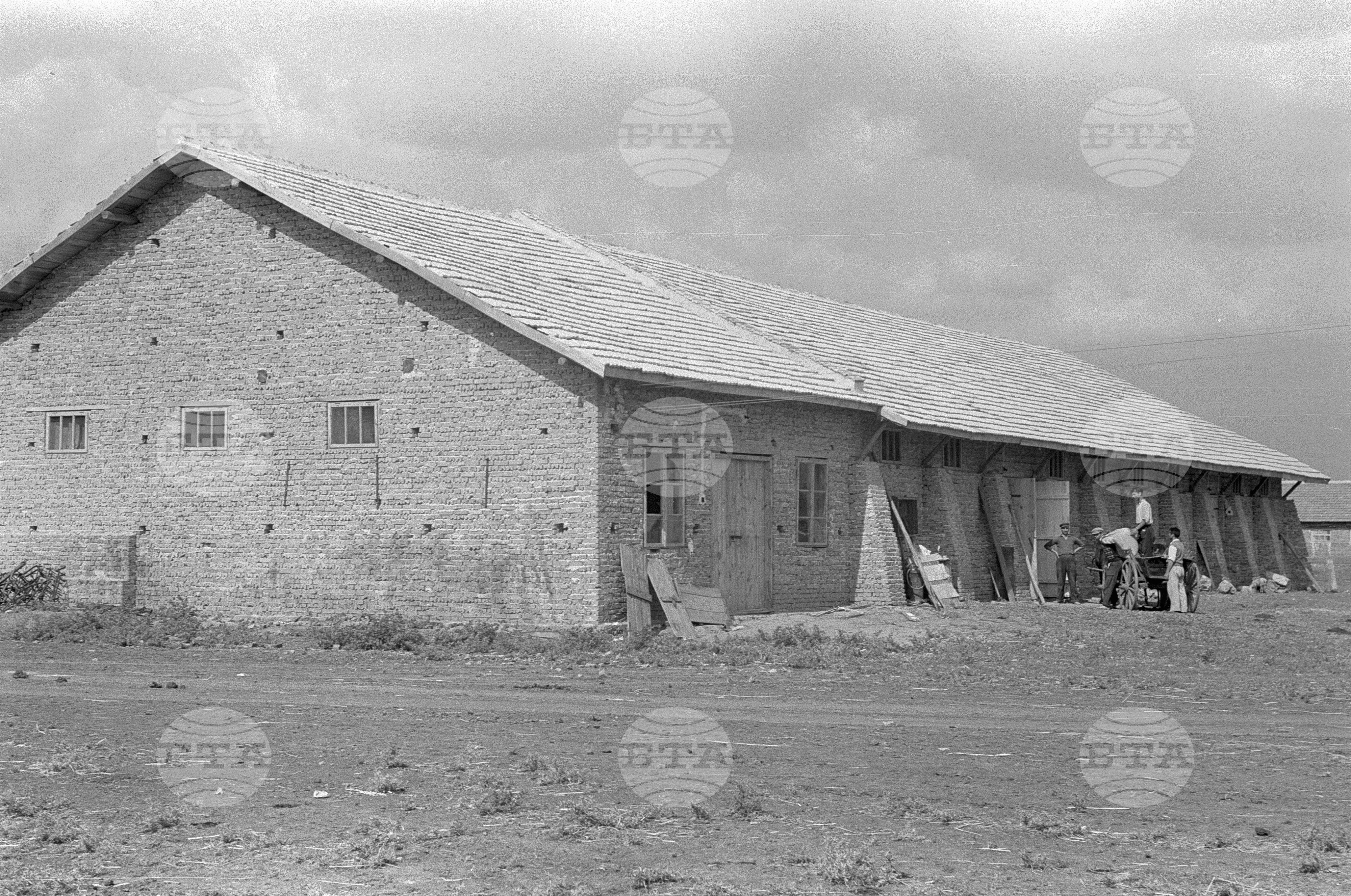 Трудово-кооперативно земеделско стопанство (ТКЗС) "Васил Коларов" в село Било, Балчишко
