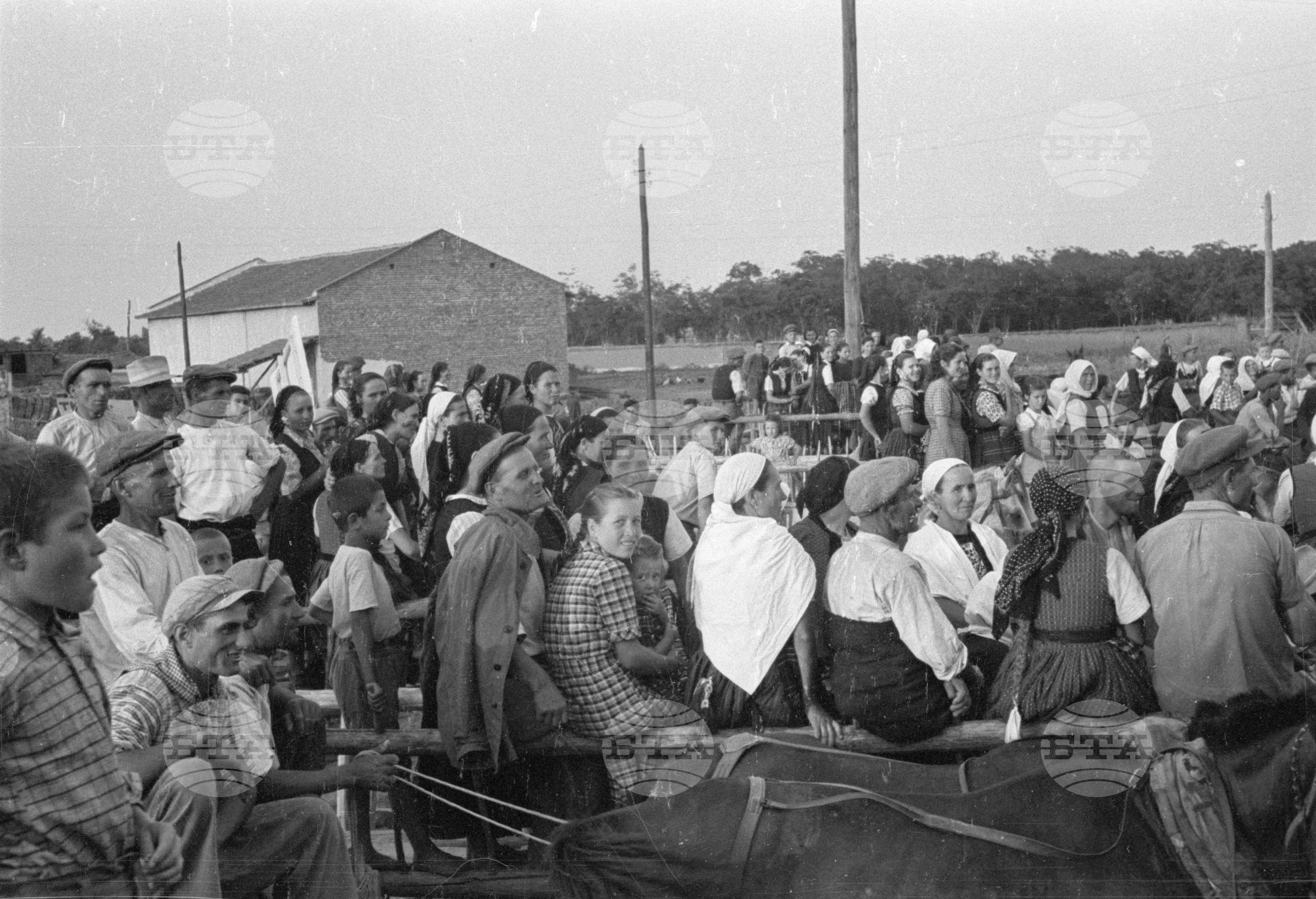 Предаване на зърнодоставки в Голямо Конаре (днес град Съединение), 1951