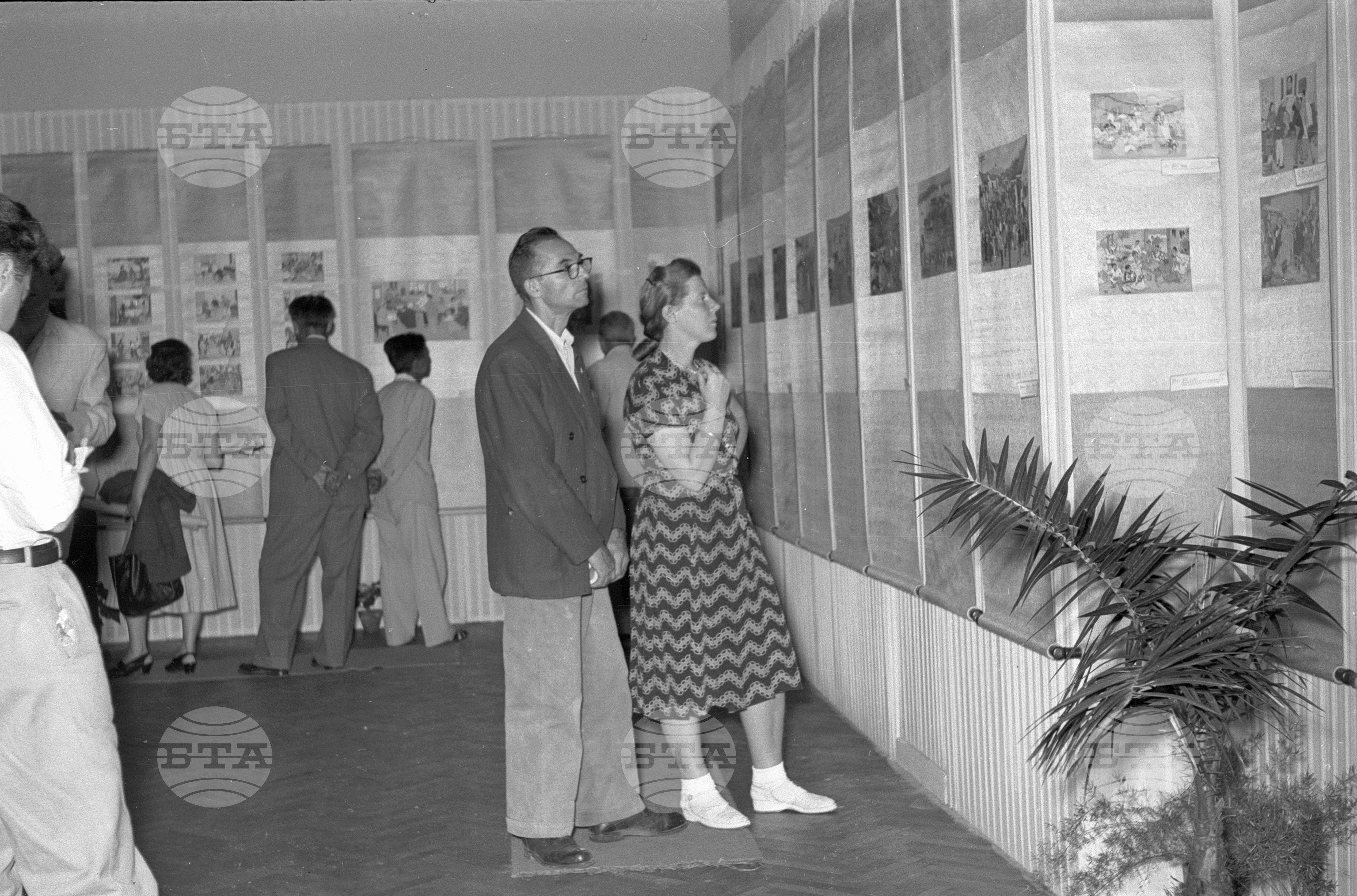 Изложба "Китайски новогодишни картини” - 1953 година