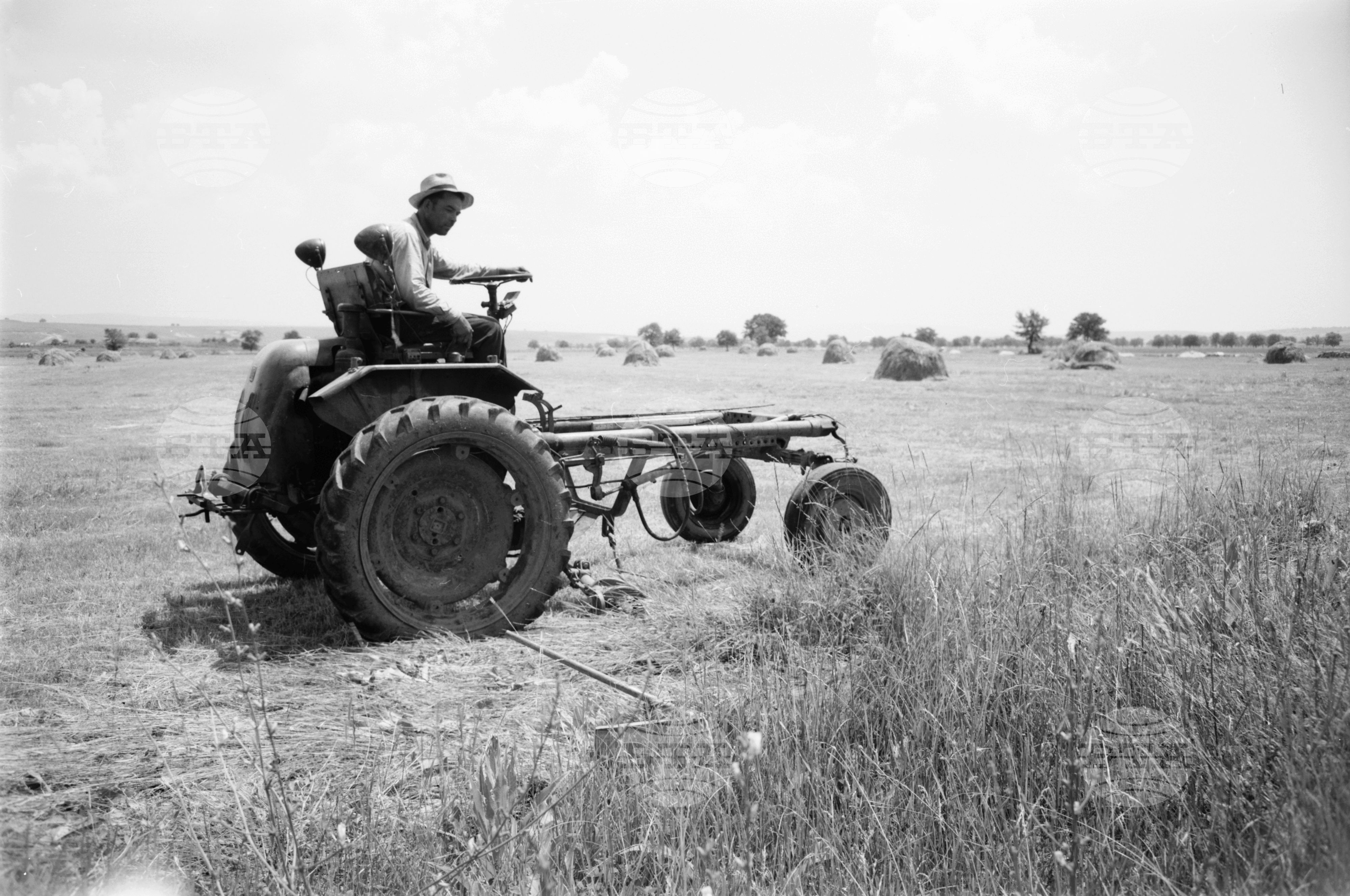 Из Търговищки окръг 1963 годишна