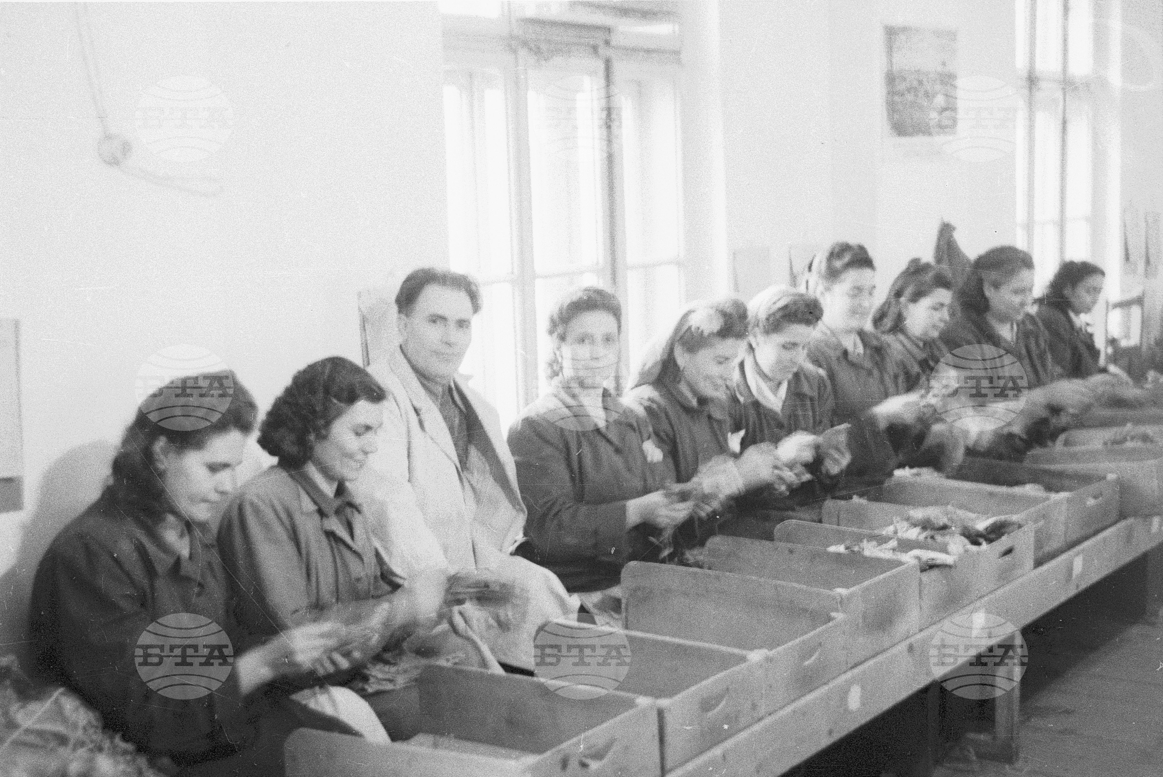 Ирина Боянова предава своя опит, 1951