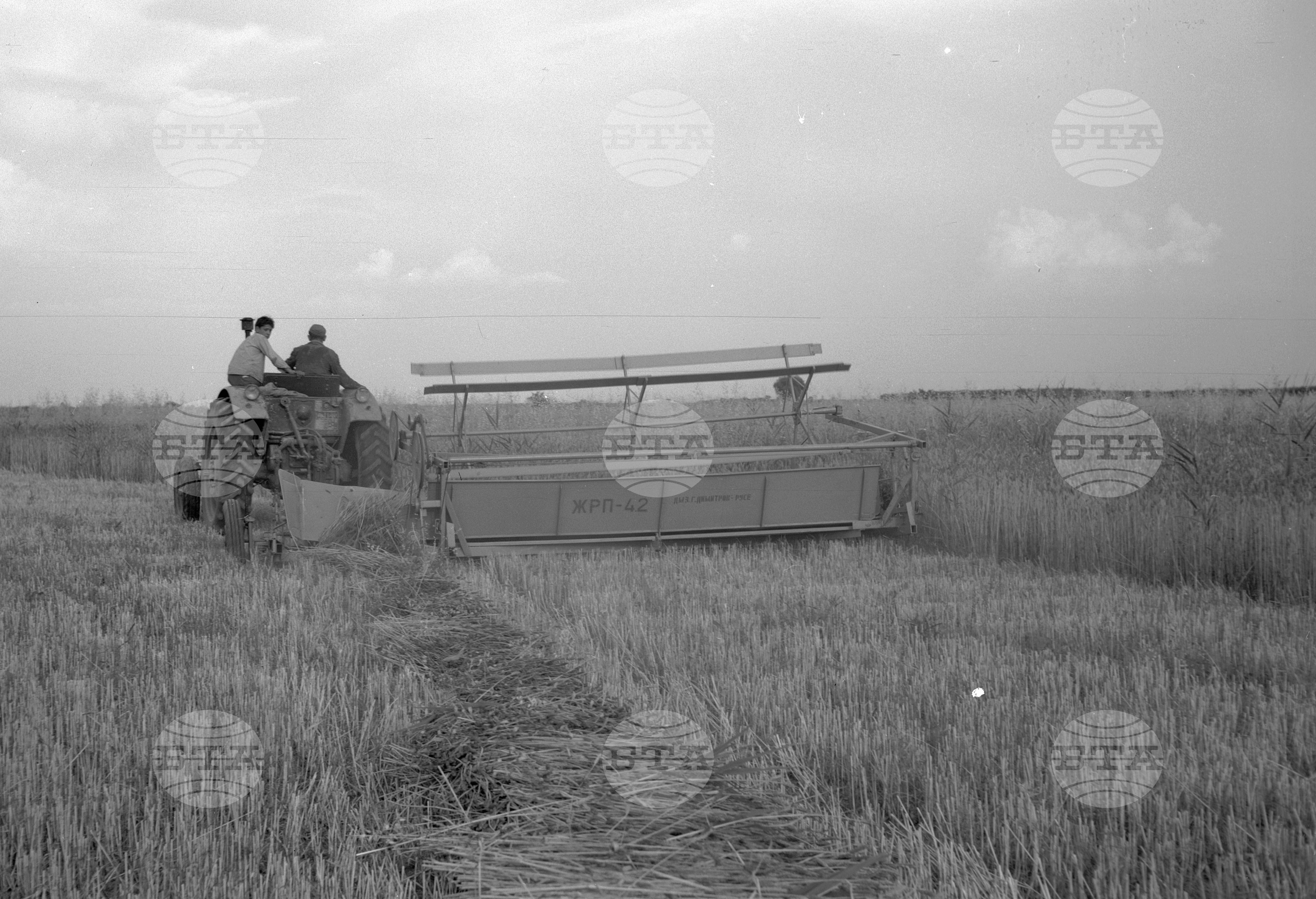 Жътва на пшеница - 1963