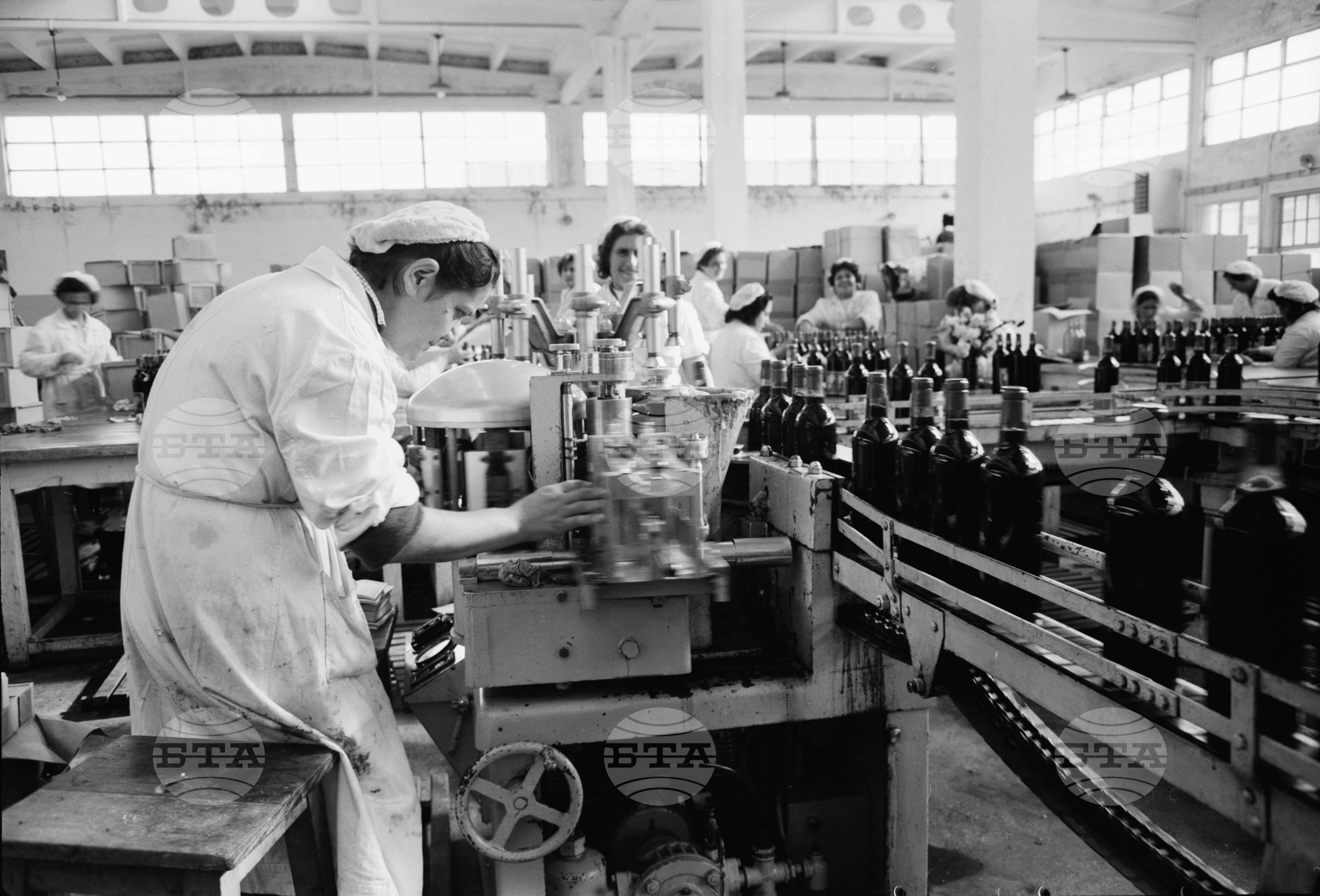Завод преработка и стабилизация на вината край София