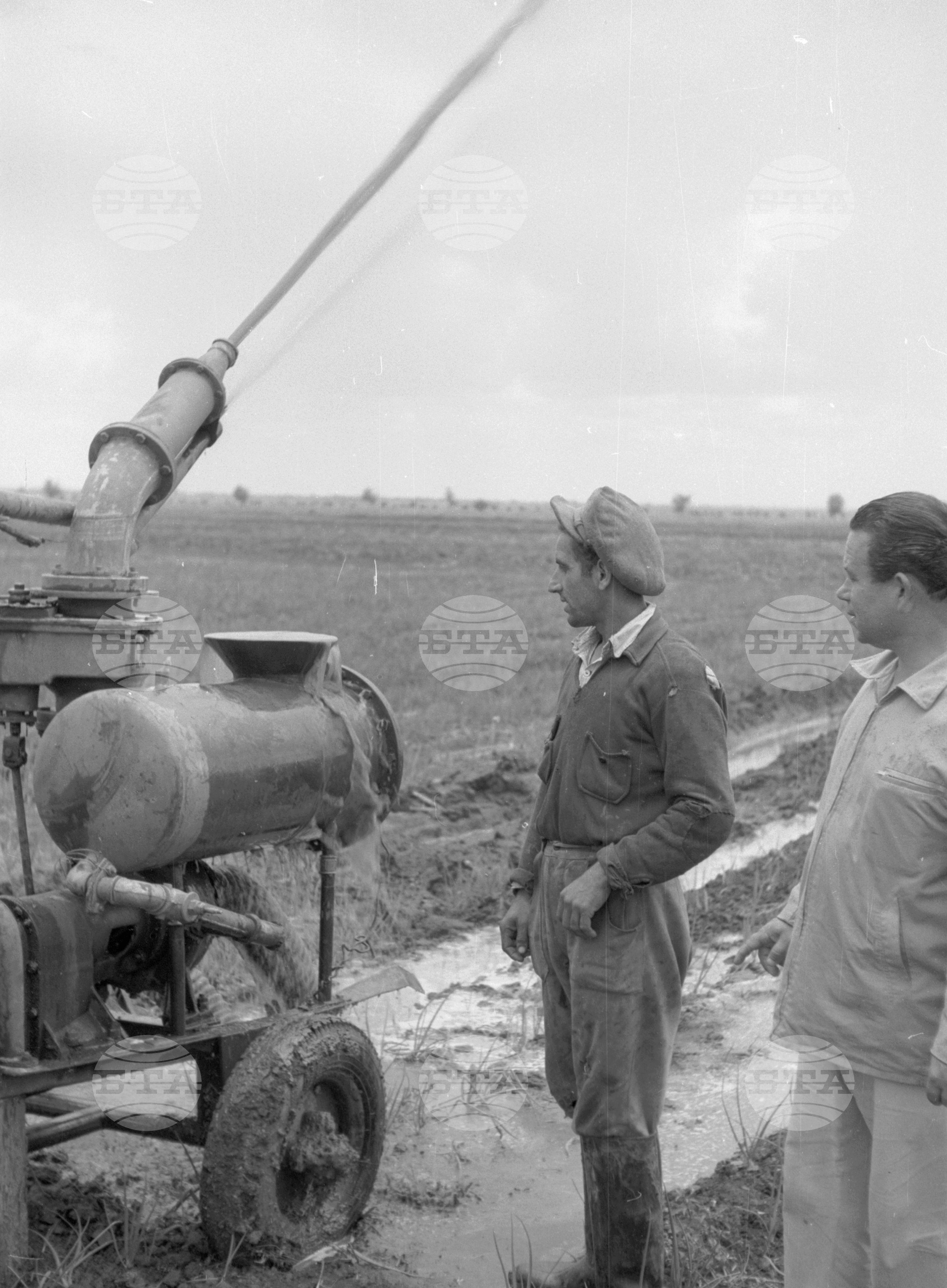 Снимки от Видински окръг - 1963