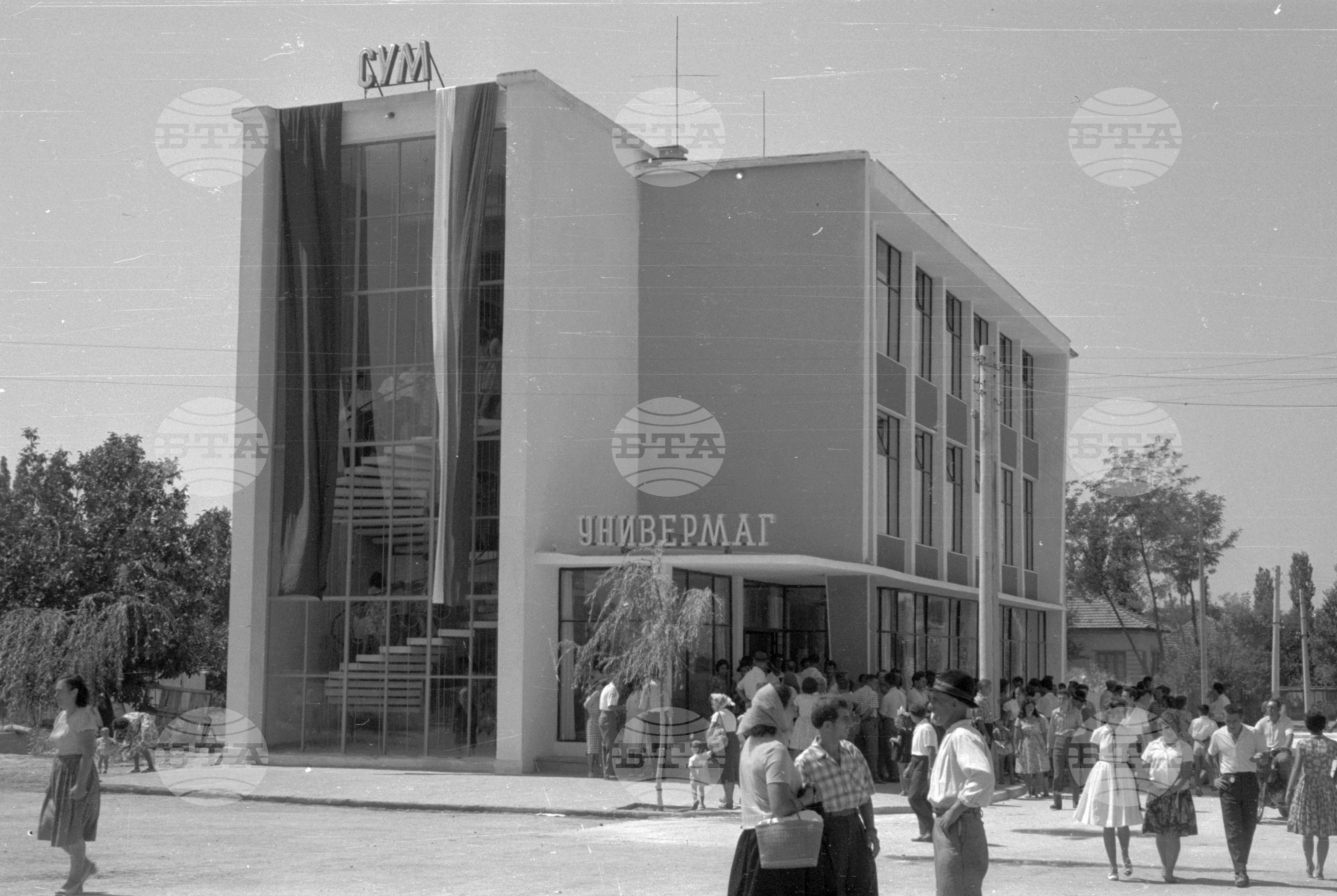 Из Видински окръг 1963 година