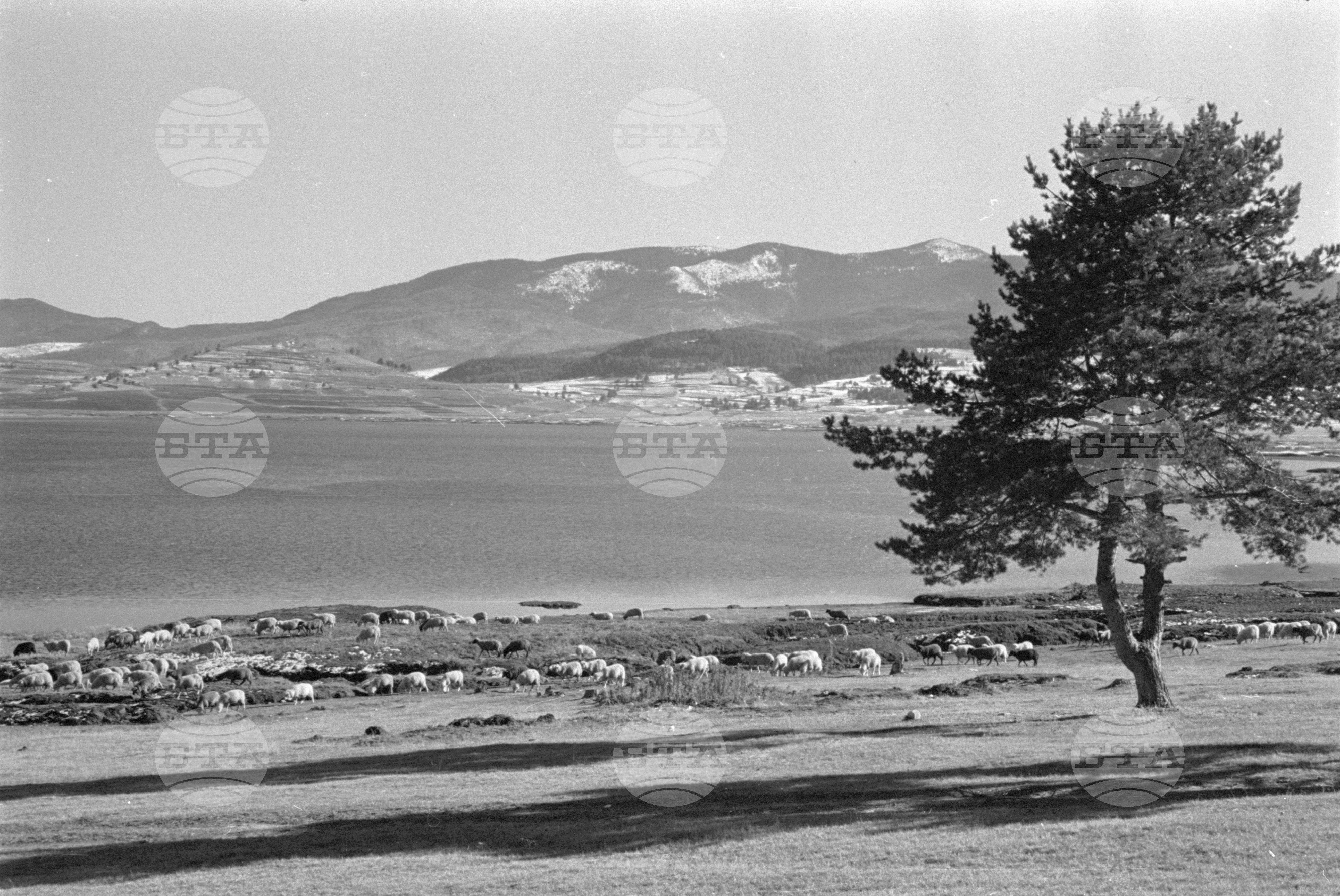 Край язовир "Батак" - 1963 година