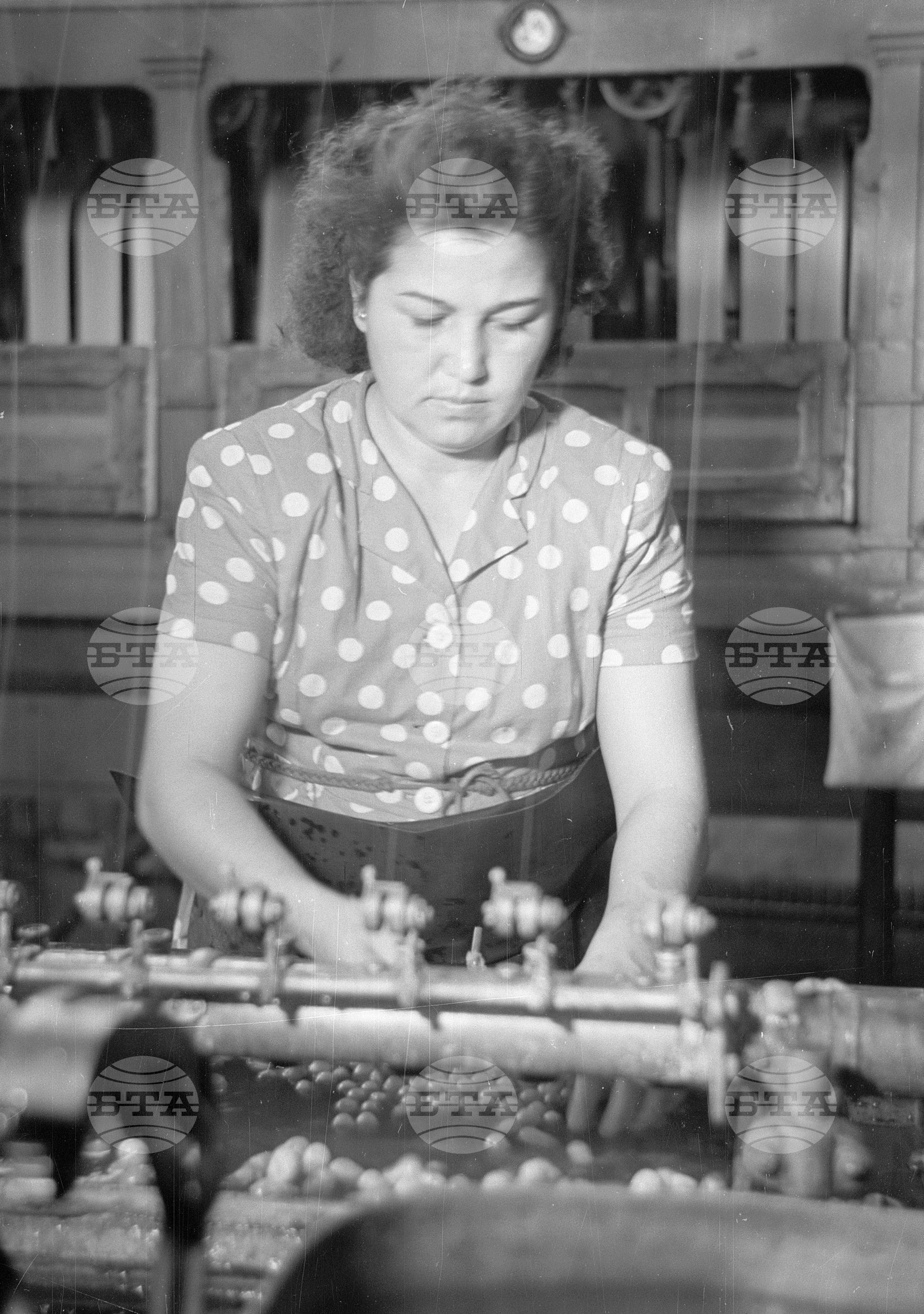 „Дунавска коприна", фабрика за обработка на коприна край Русе - 1953 година