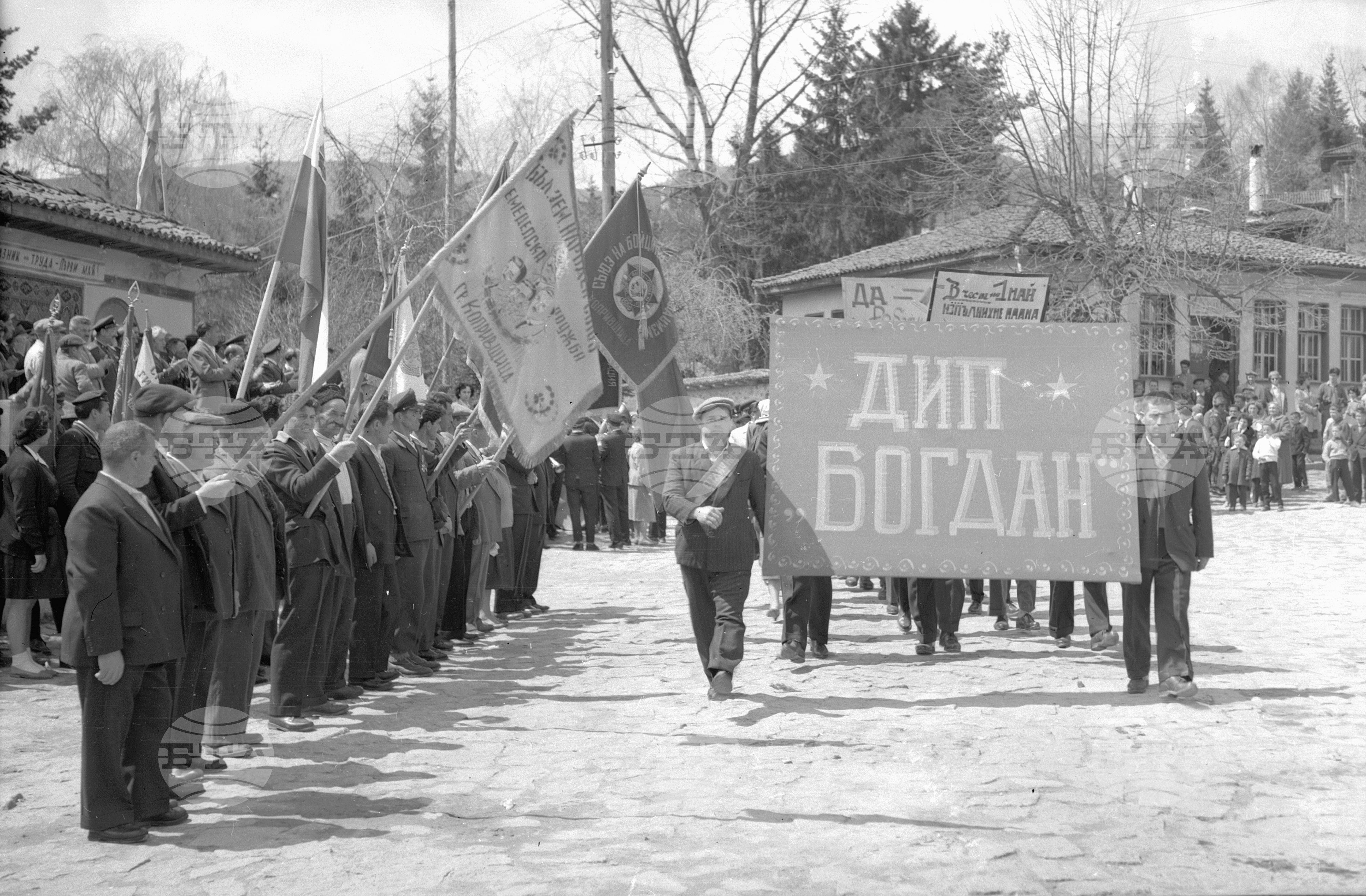 Копривщица