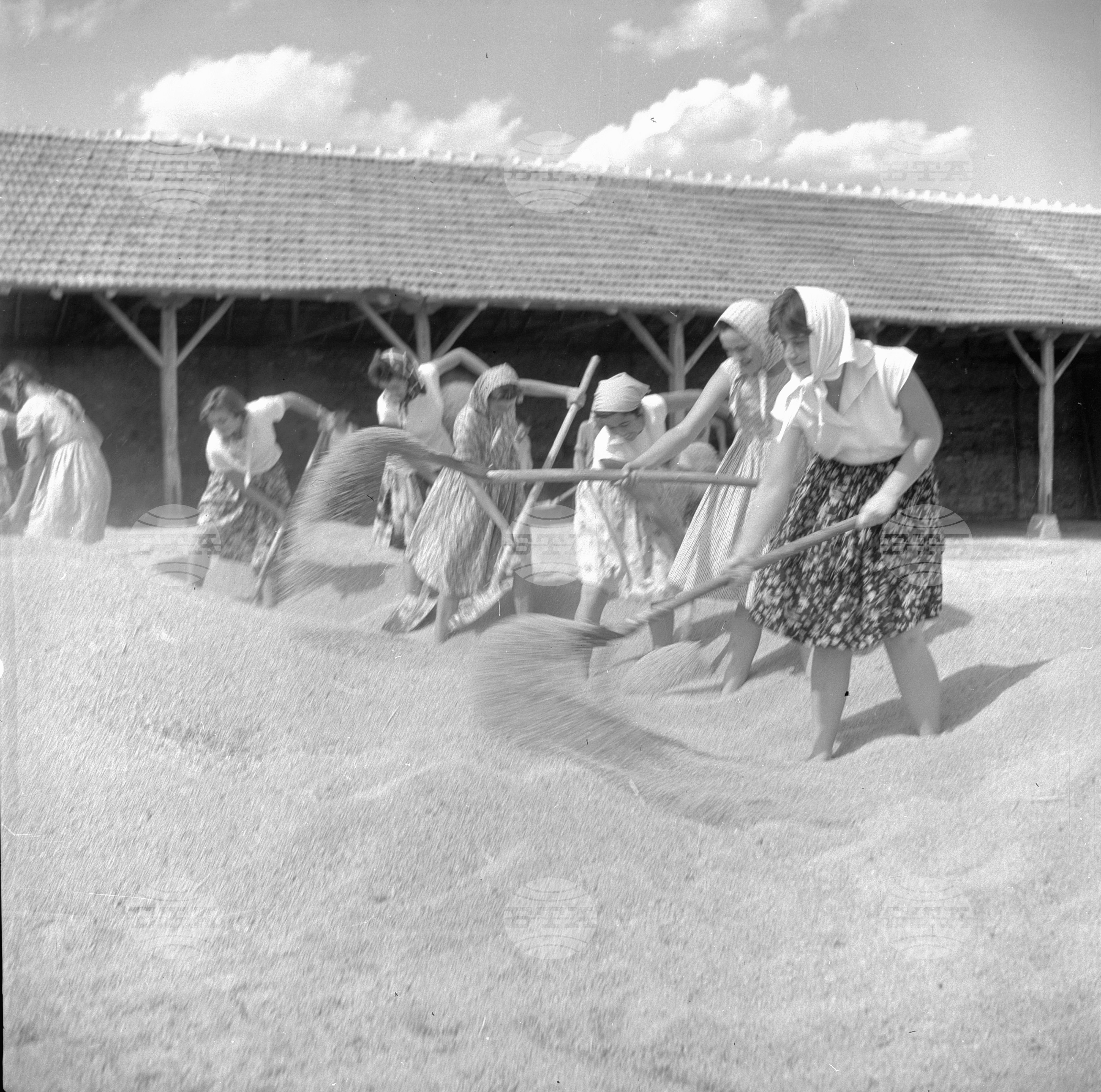 По комсомолско поръчение - 1963