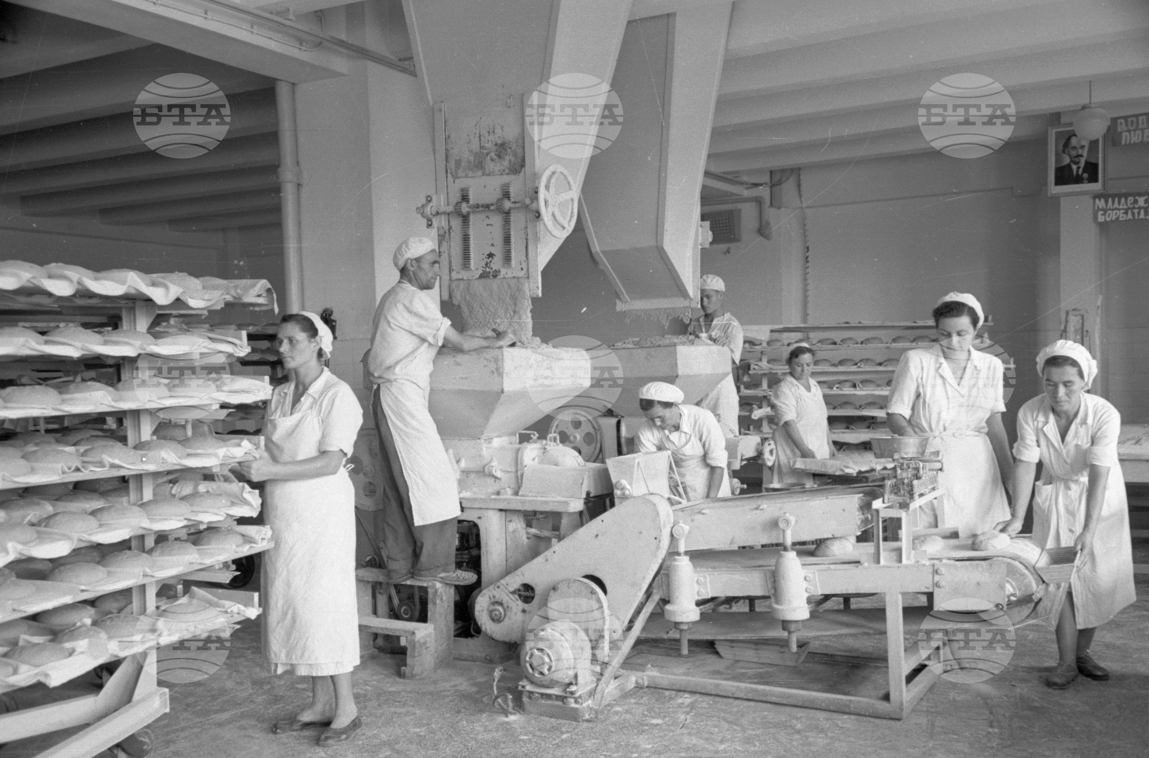 Хлебозавода - София - 1953 година